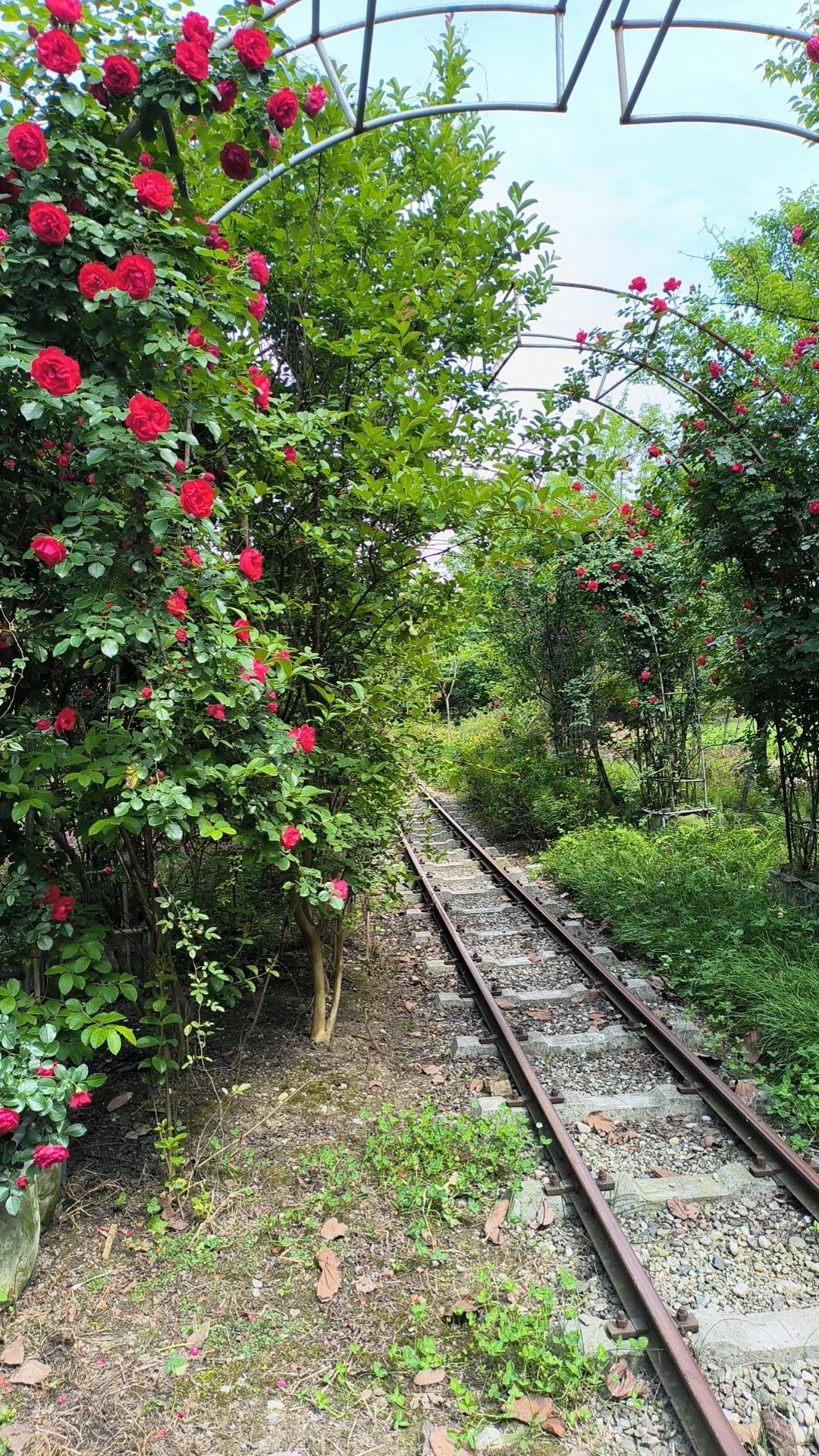 我不理解。
我之前上班的公司有个库房管理员老张在公司任劳任怨工作6年了，几乎天天