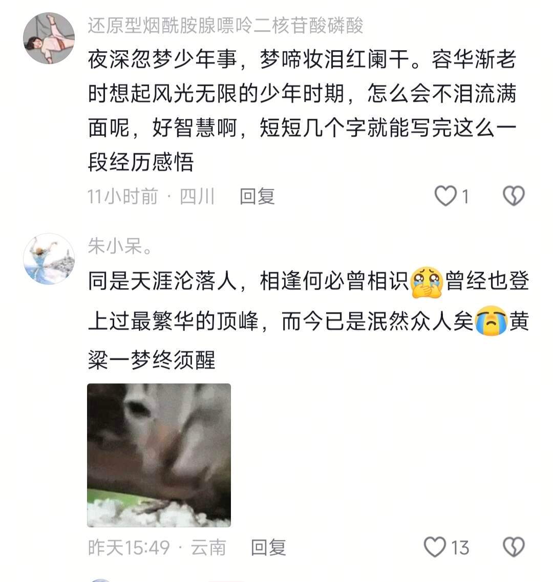 《琵琶行》真是个人认为最好的诗与曲 