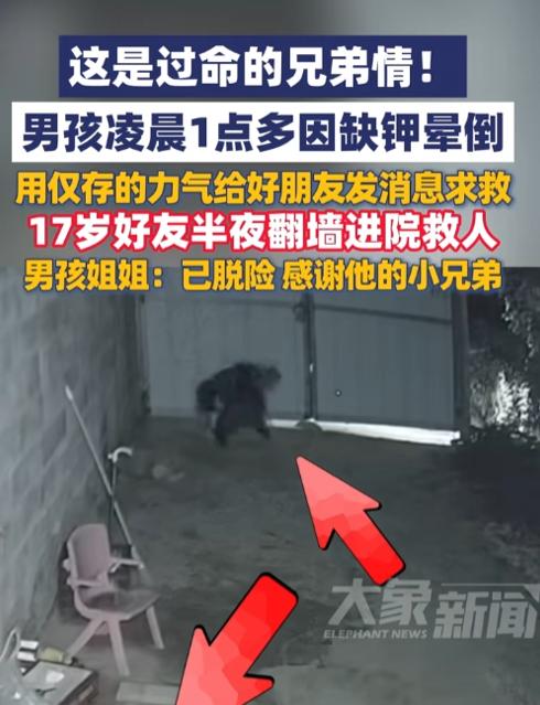 这是过命的兄弟情！云南昭通一名男子大半夜独自在家身体突发不适，直接摔在院子里动弹