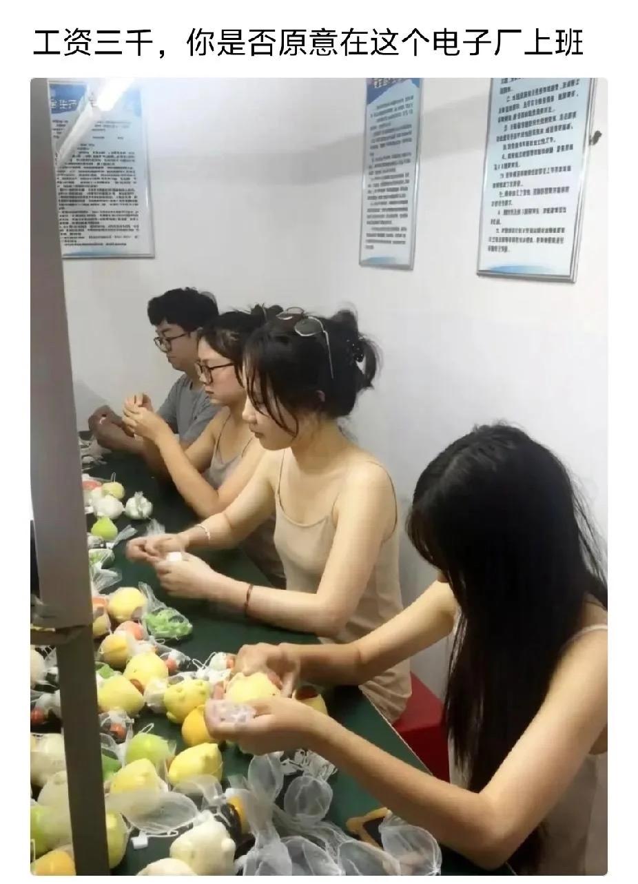 你愿意在这个厂上班吗