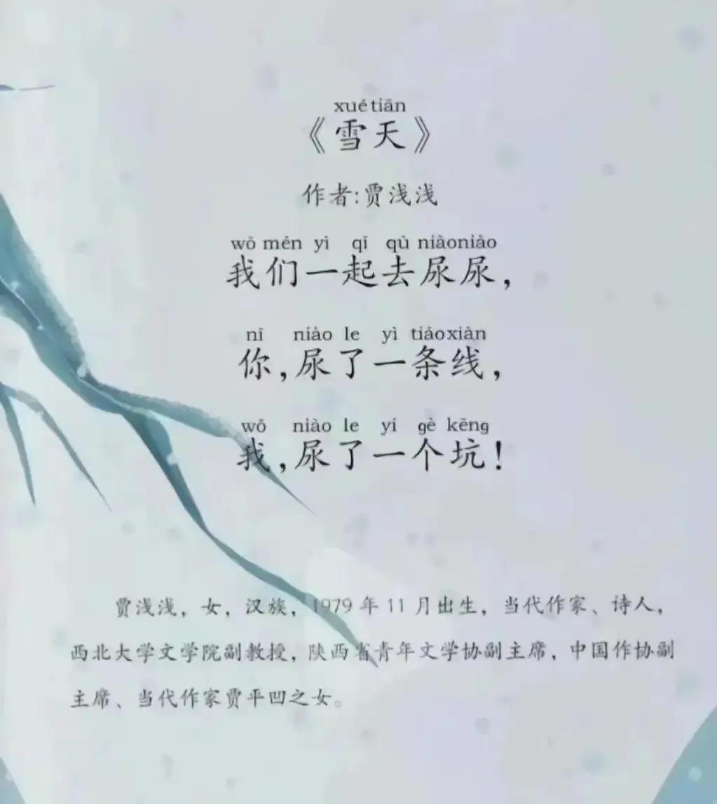 贾浅浅的诗确实有她的独特魅力，通俗、易懂、露骨、大白话。很容易让人进入联想。