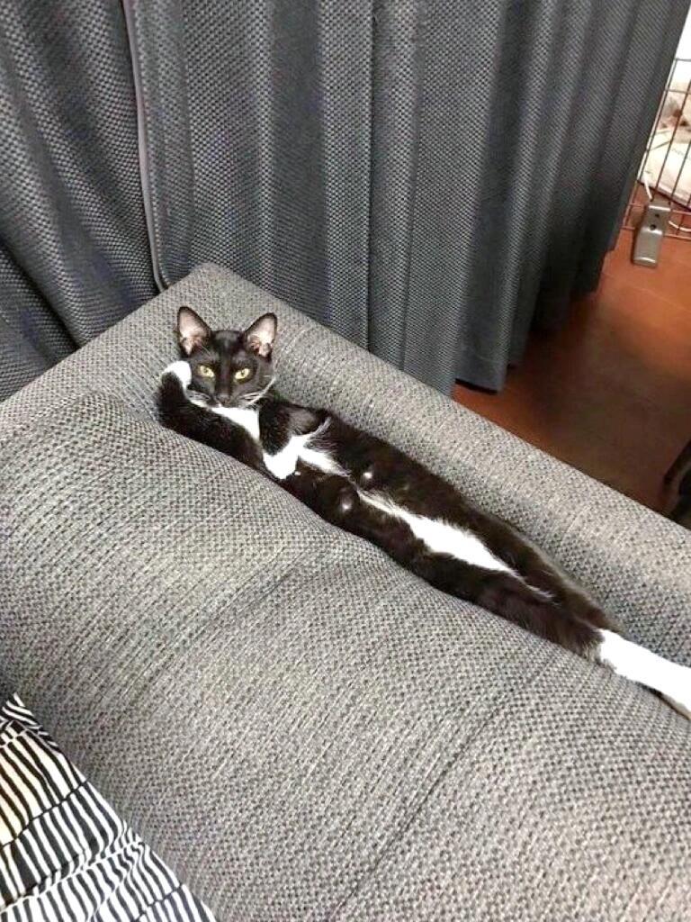 哦嗨哟💅🏿 ​​​