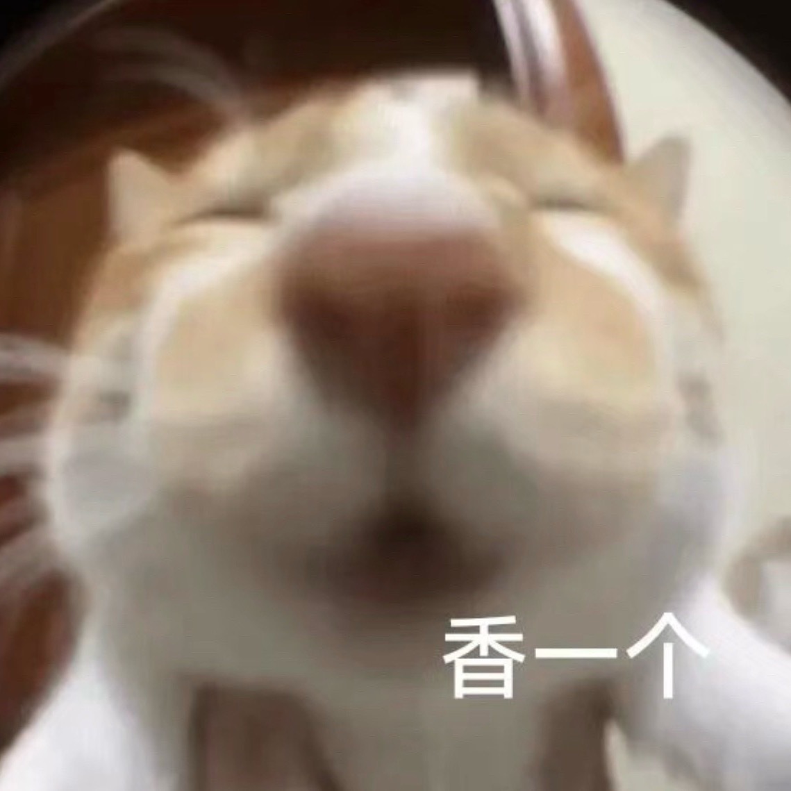 睡觉睡觉 