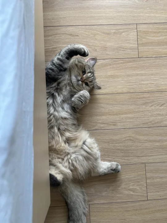 春江水暖鸭先知