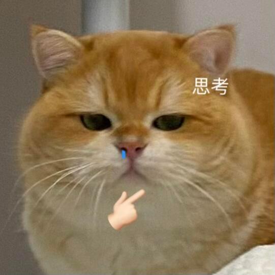 还是要提前说一声……别把戏曲圈那一套带入当下，这个不行，那个不能发的，代拍，路人