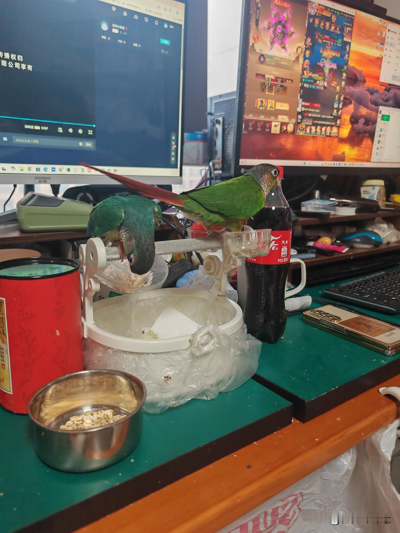 2个小家伙
在一起关系还挺好的
有一点就是我家大的要靠着，小的就挪位置大的就也挪