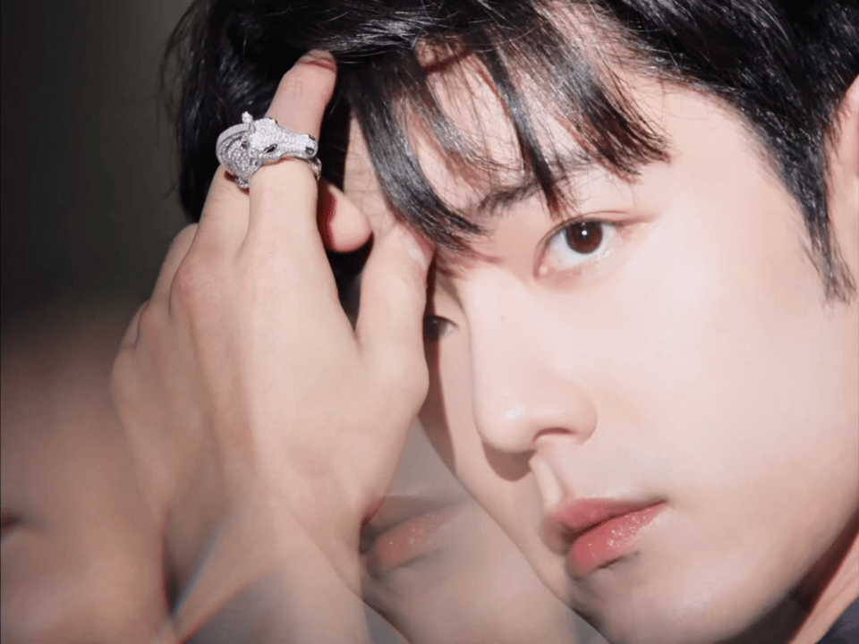 啊这……完全是艺术品吧…… 