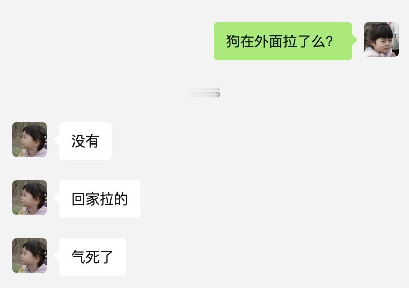以前住平房，狗狗不会在家拉，现在住楼房了，狗狗还没学会定点上厕所，天天跟家里客厅