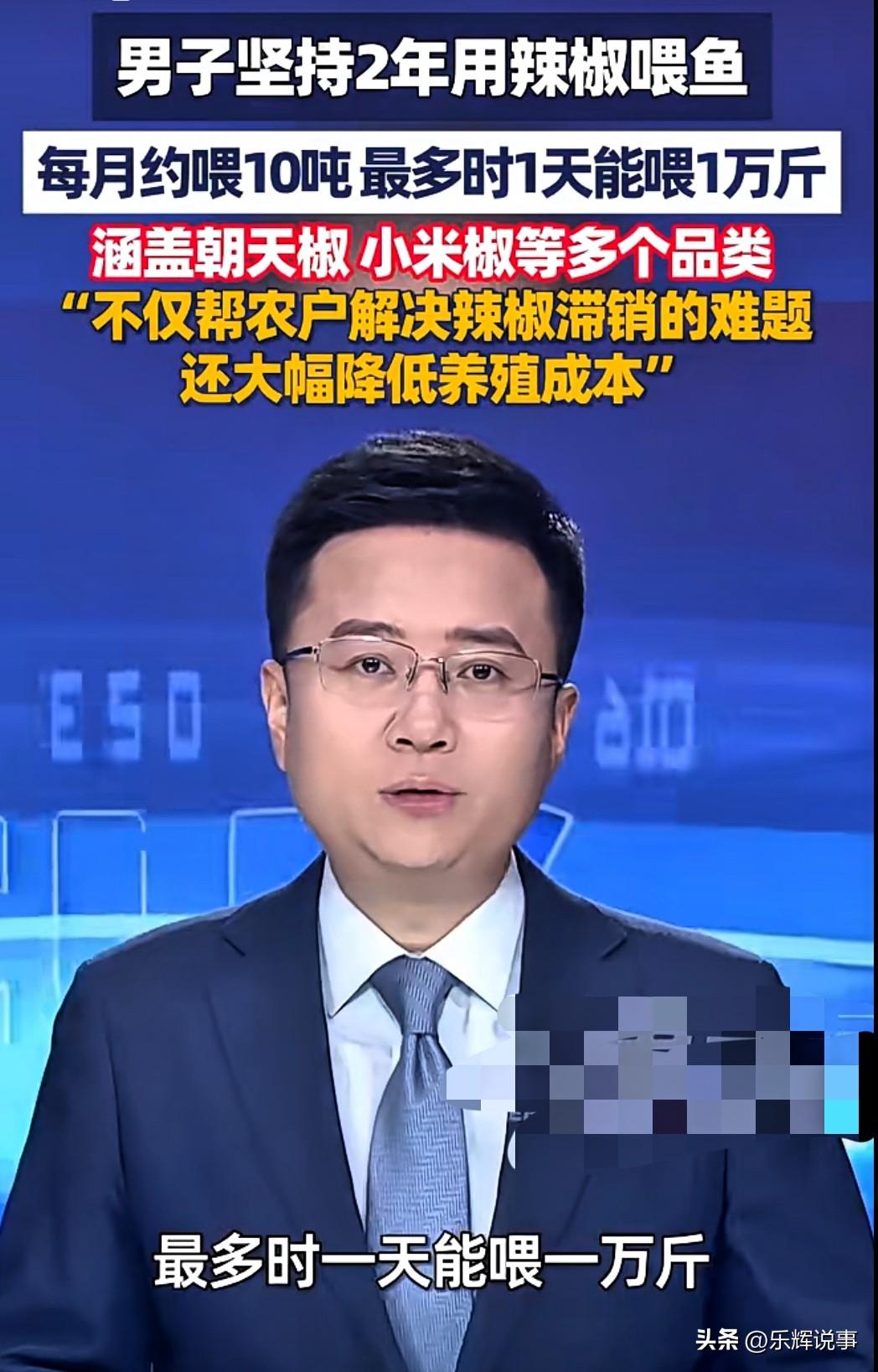 真够离谱，鱼吃辣椒？湖南长沙一男子，硬是干了两年，拿辣椒喂鱼，一个月10吨，最多