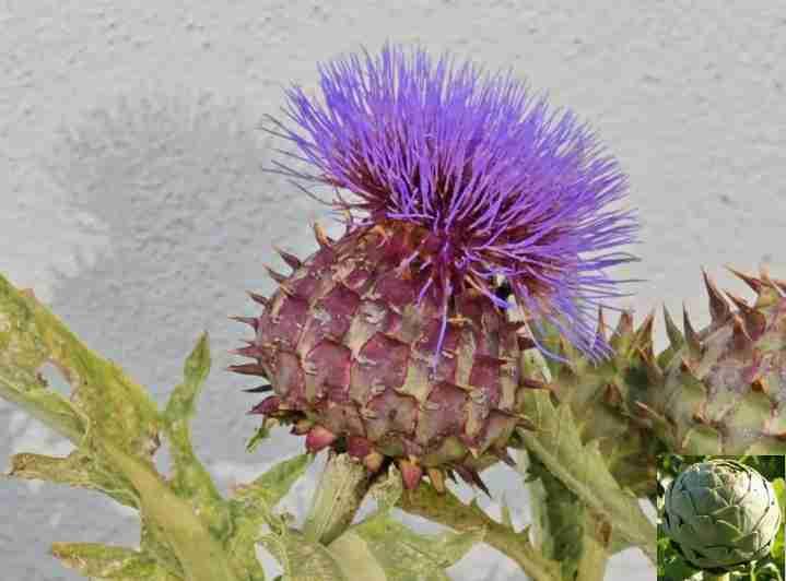 我的今日状态：😁轻松愉快
我这里的天气：☀️晴天