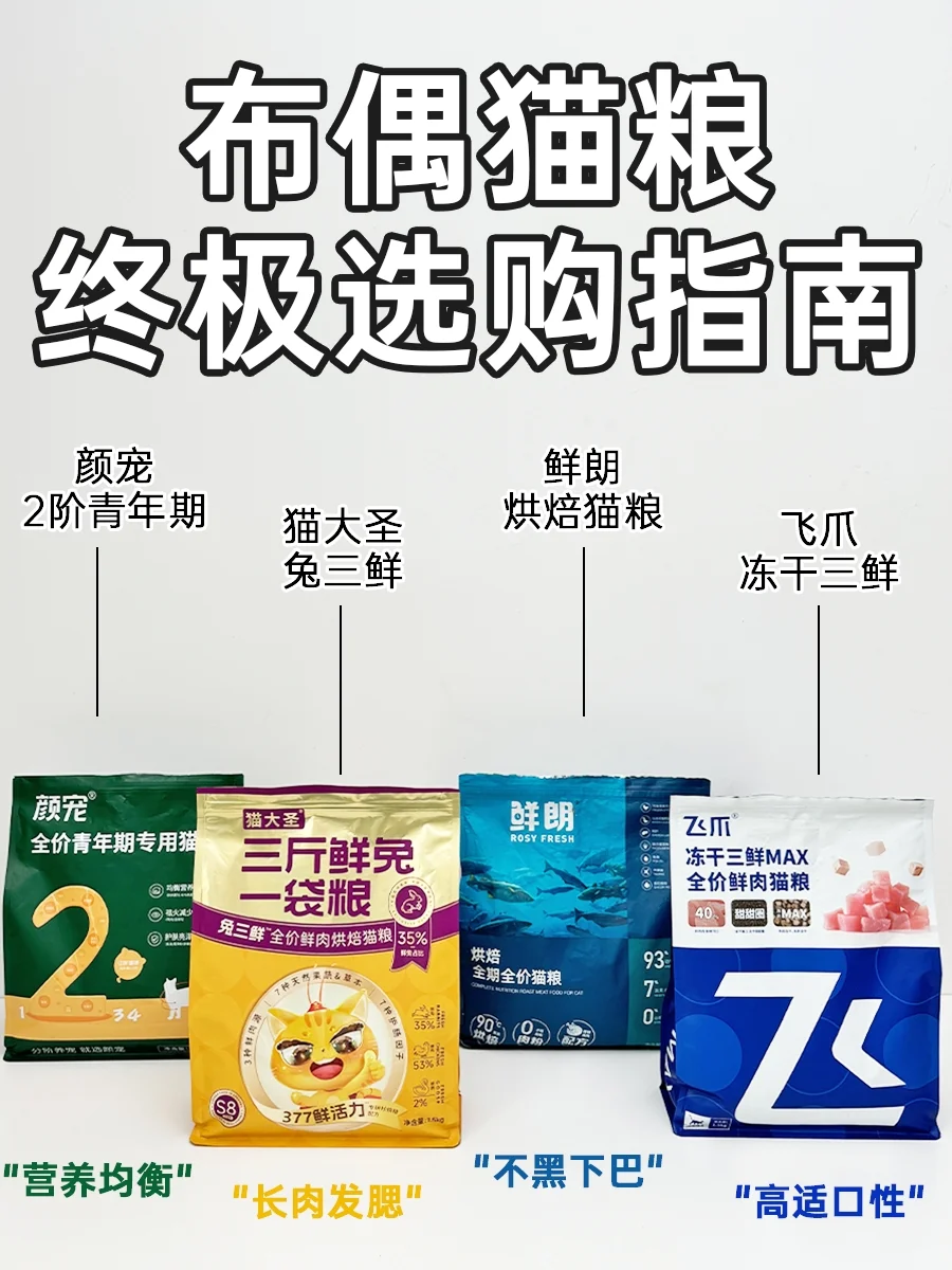 终极布偶猫粮合集！玻璃胃救星现身！