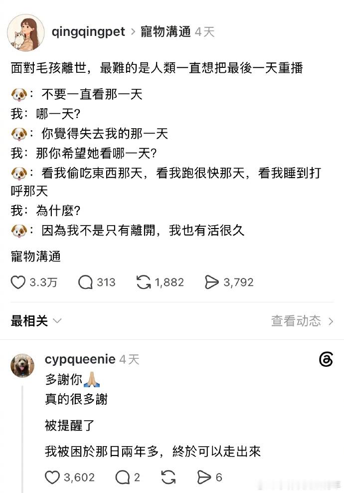 昨天闺蜜带我去滨江遛弯，徐汇滨江那块到了晚上有好多人带狗子散步，我们遇到了一只小