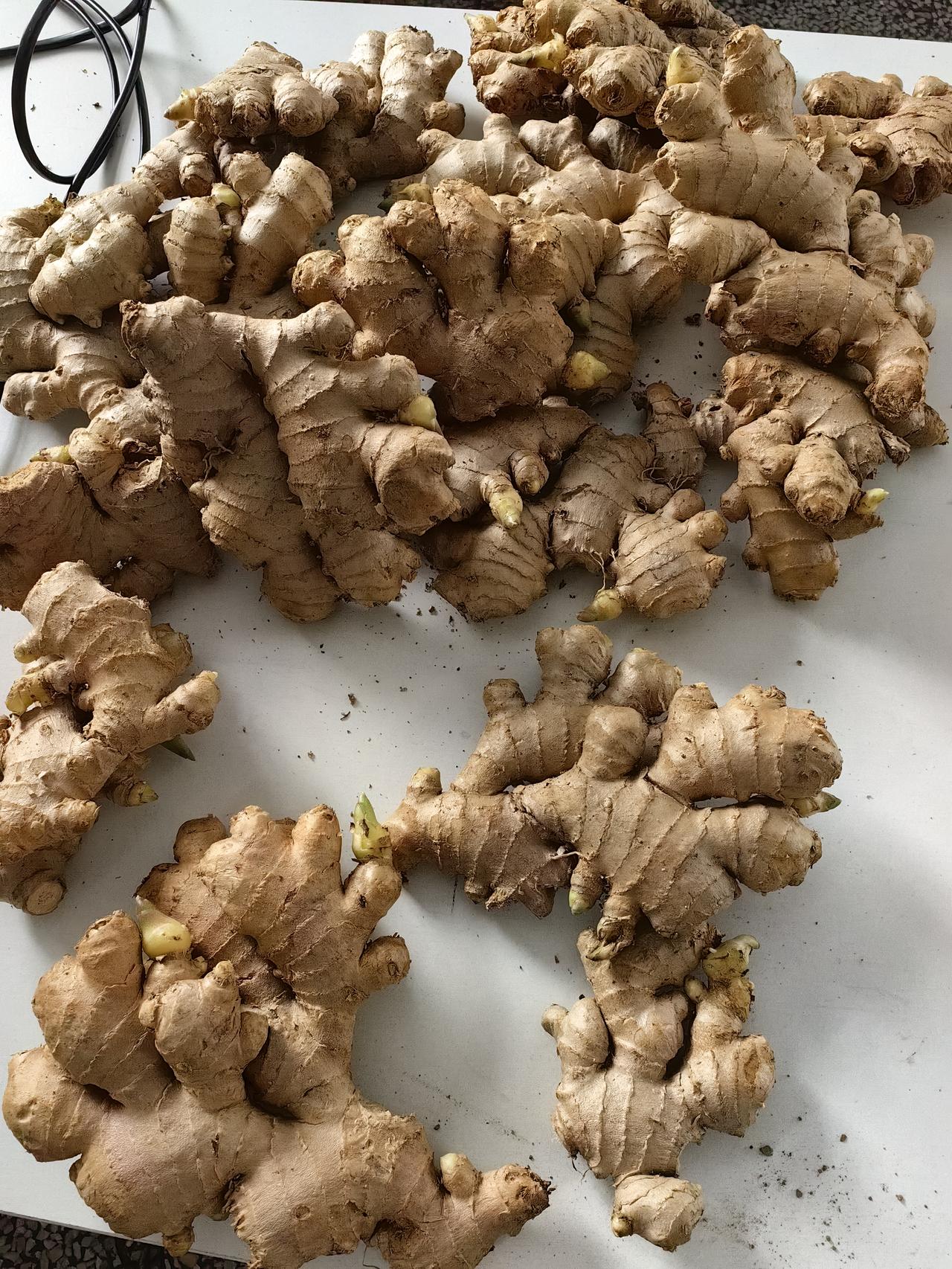 不得不说，在某多多上买生鲜，还是真便宜。大葱10斤，不要10块钱；西红柿5斤，也