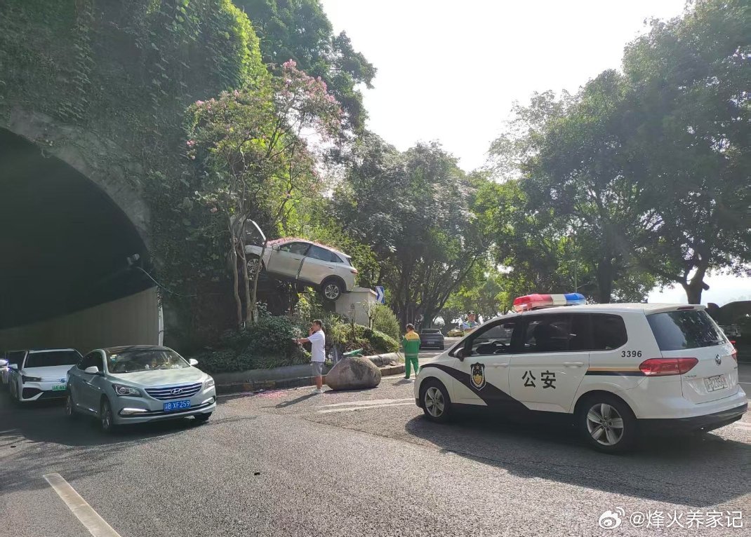 这是怎么开上去的？ 