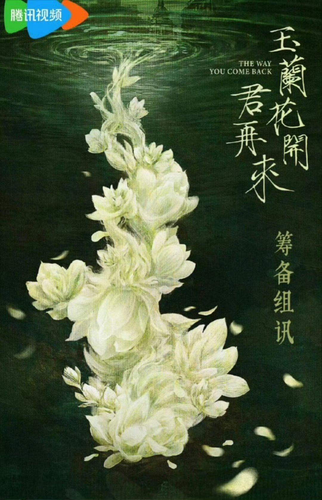 杨紫或将出演玉兰花开君再来杨紫朱亚文或将合作 哦豁哦豁 ​​​