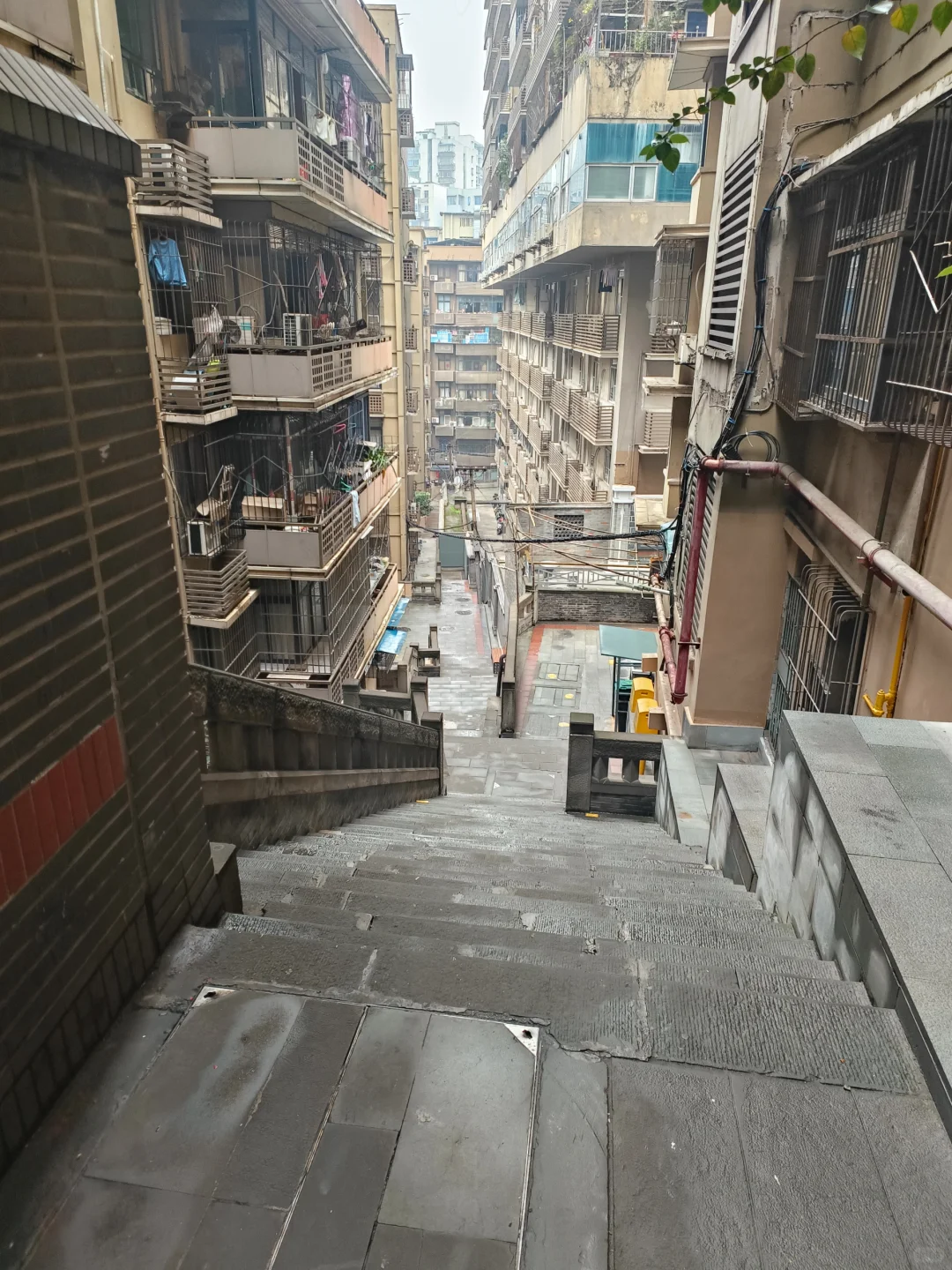 重庆打工人的租房确实神