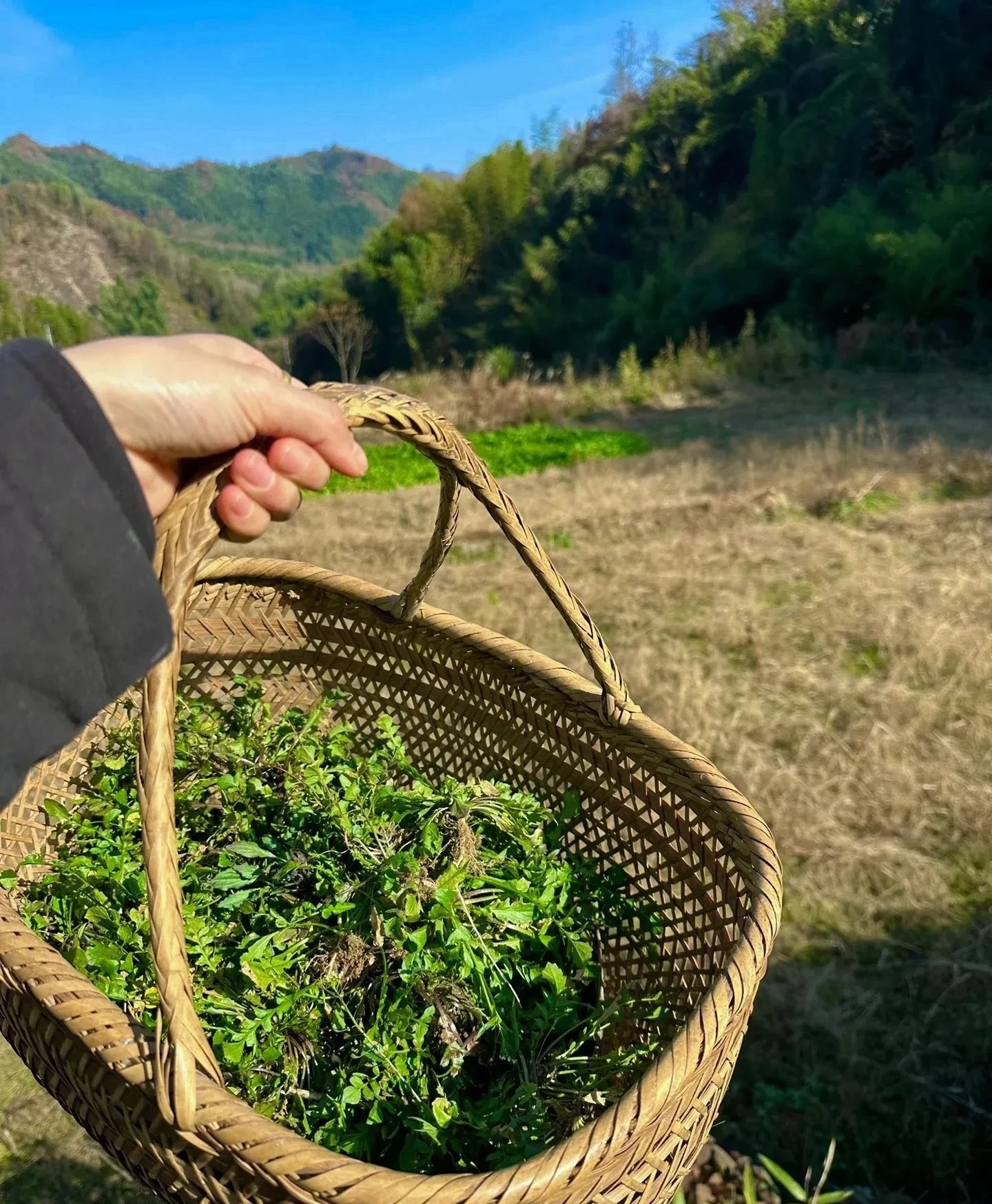 周末谈判估计不会有结果，扯扯淡而已。 