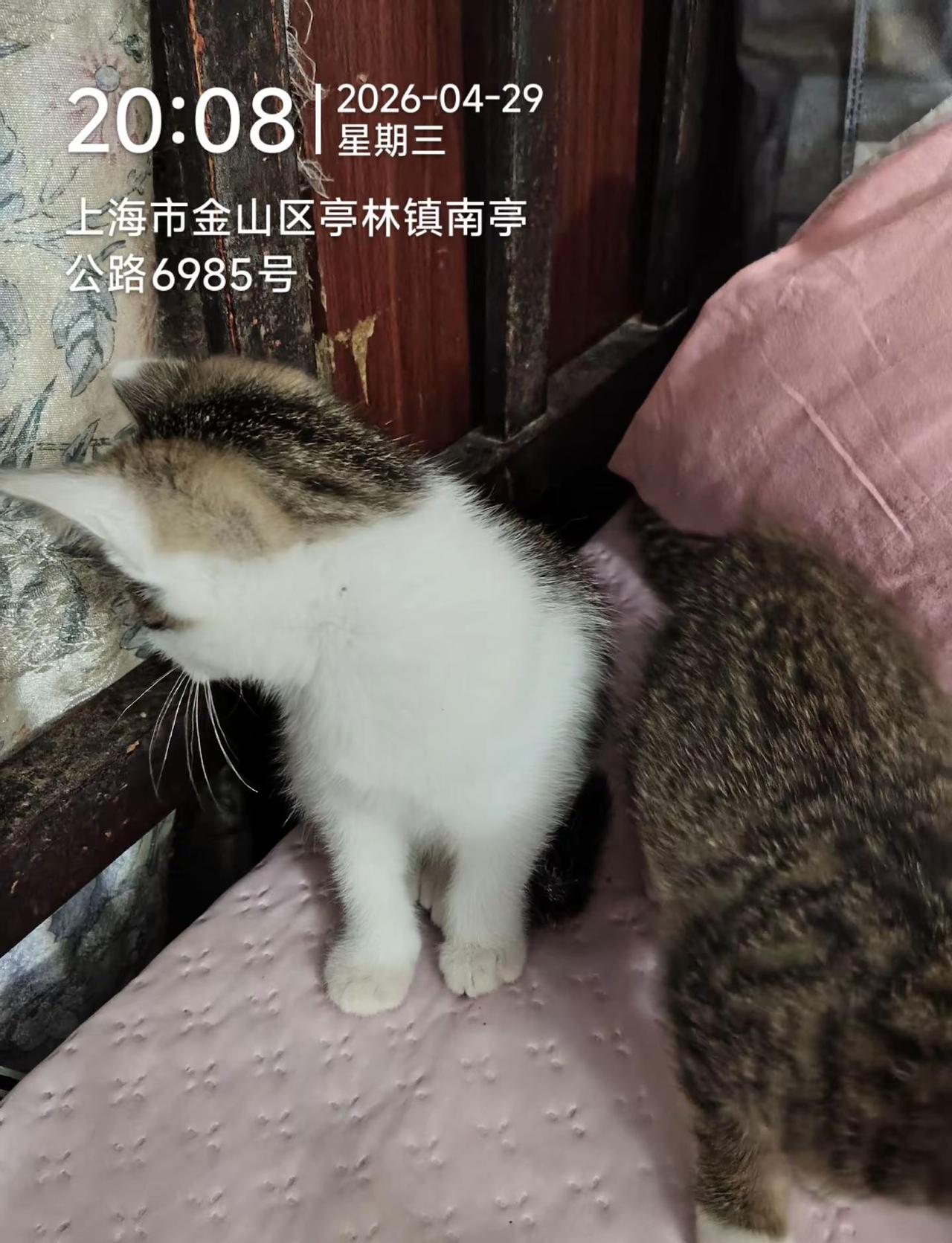 一定要找一个喜欢自己的人在一起，不然无论你做什么他都会觉得不耐烦