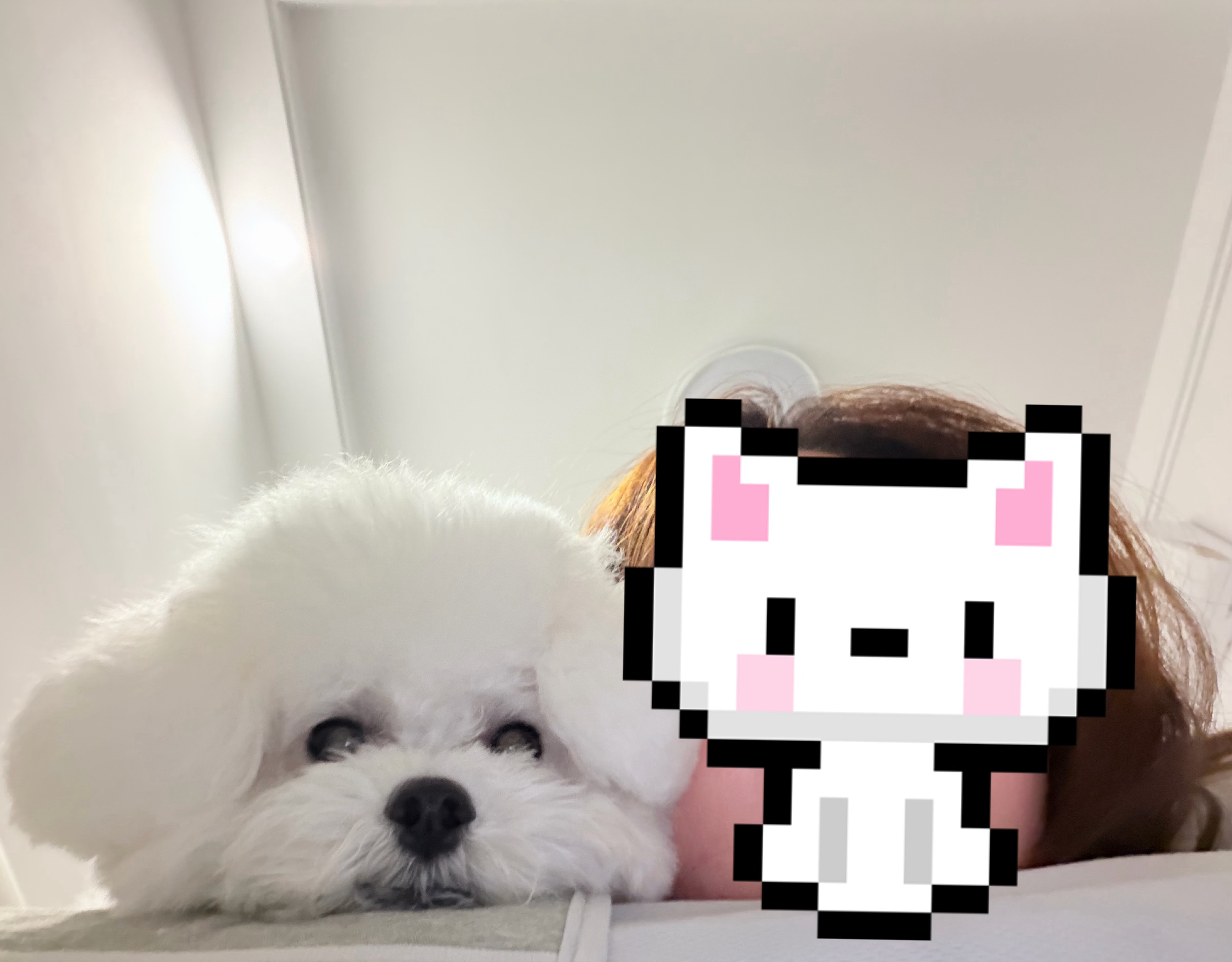 黄岩 床下有啥🙊🙊🙊🙊🙊 