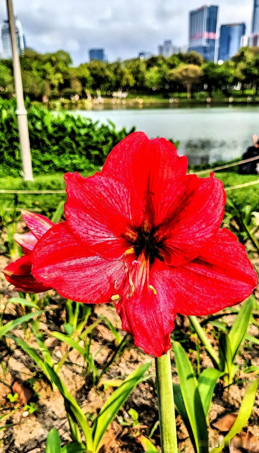 牙齿越来越疏松，

白头发慢慢爬上屋顶。

中老年骨质 白发”早衰
中老年牙齿健