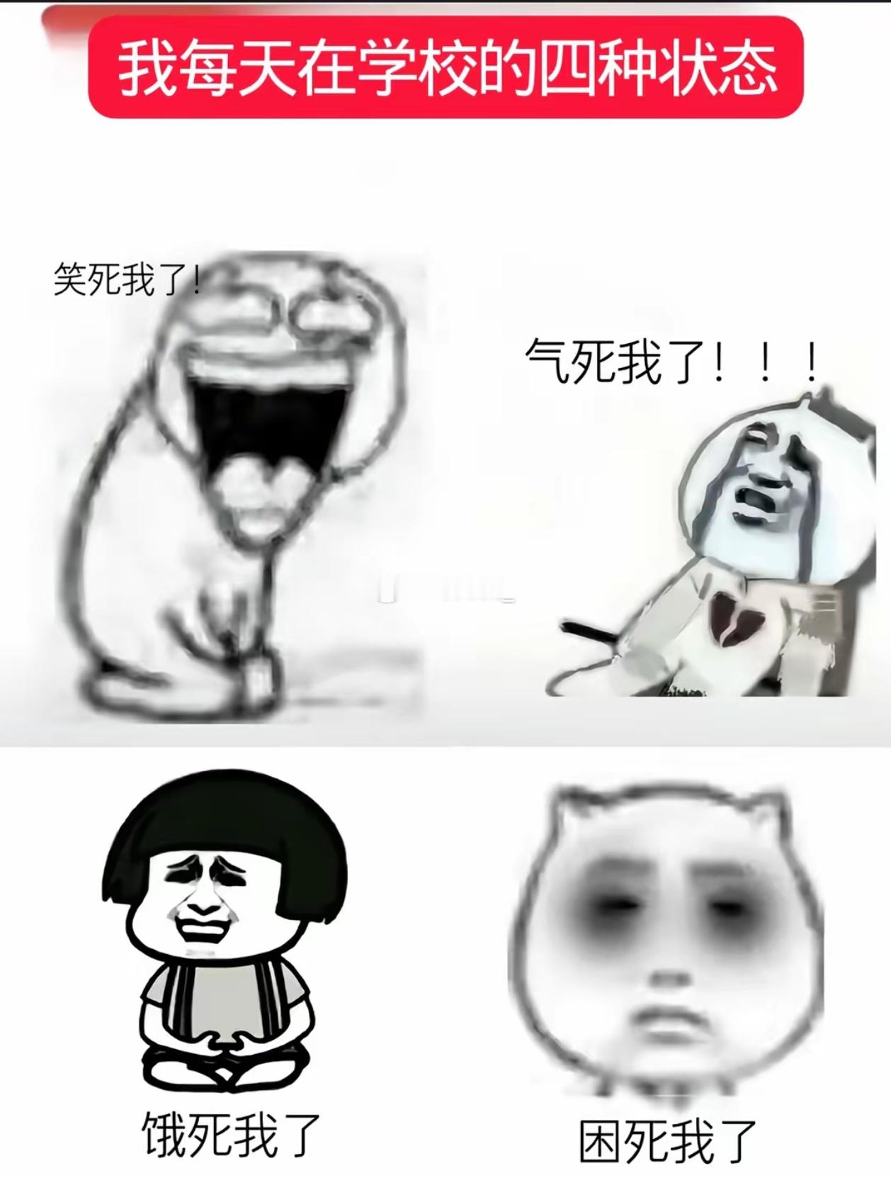 🦭专注我的呆萌生活 