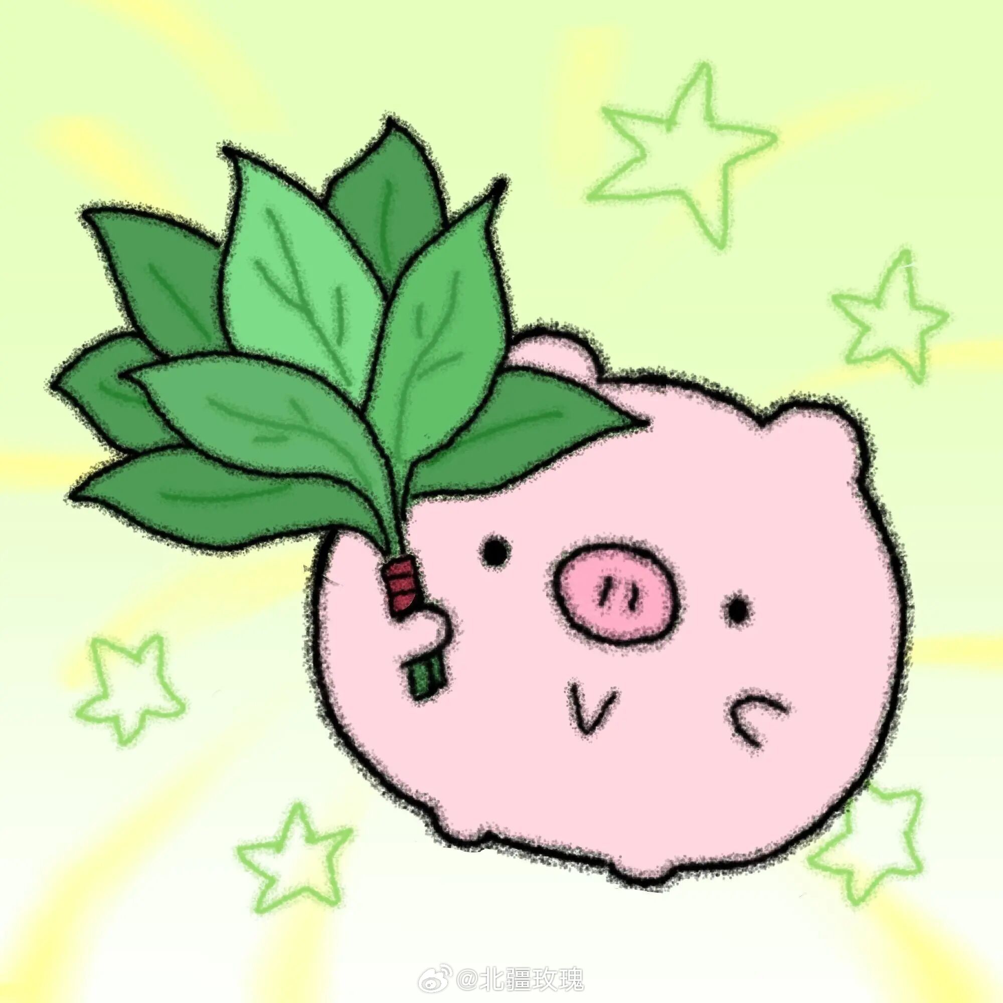 猪咪情头分享丨柚子叶去霉运，好运来！！💅🏻卡通头像 高清壁纸 无水印 ins