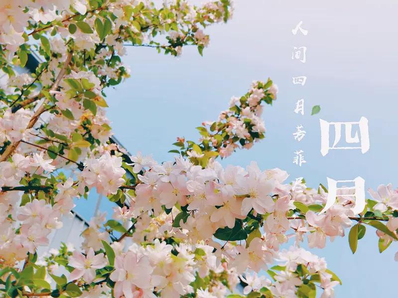 AI妙生图人间最美四月天。