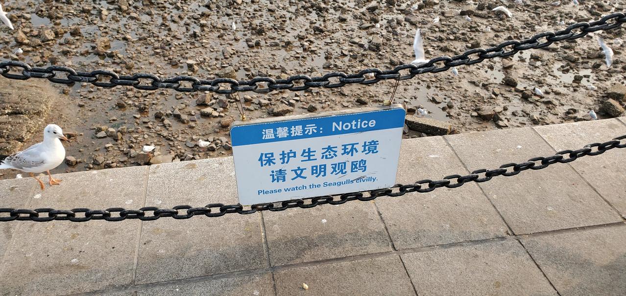 王铎：请警惕栈桥上的“温馨污染”
朋友们，我们经常批评某某景区“脏乱差”，认为管