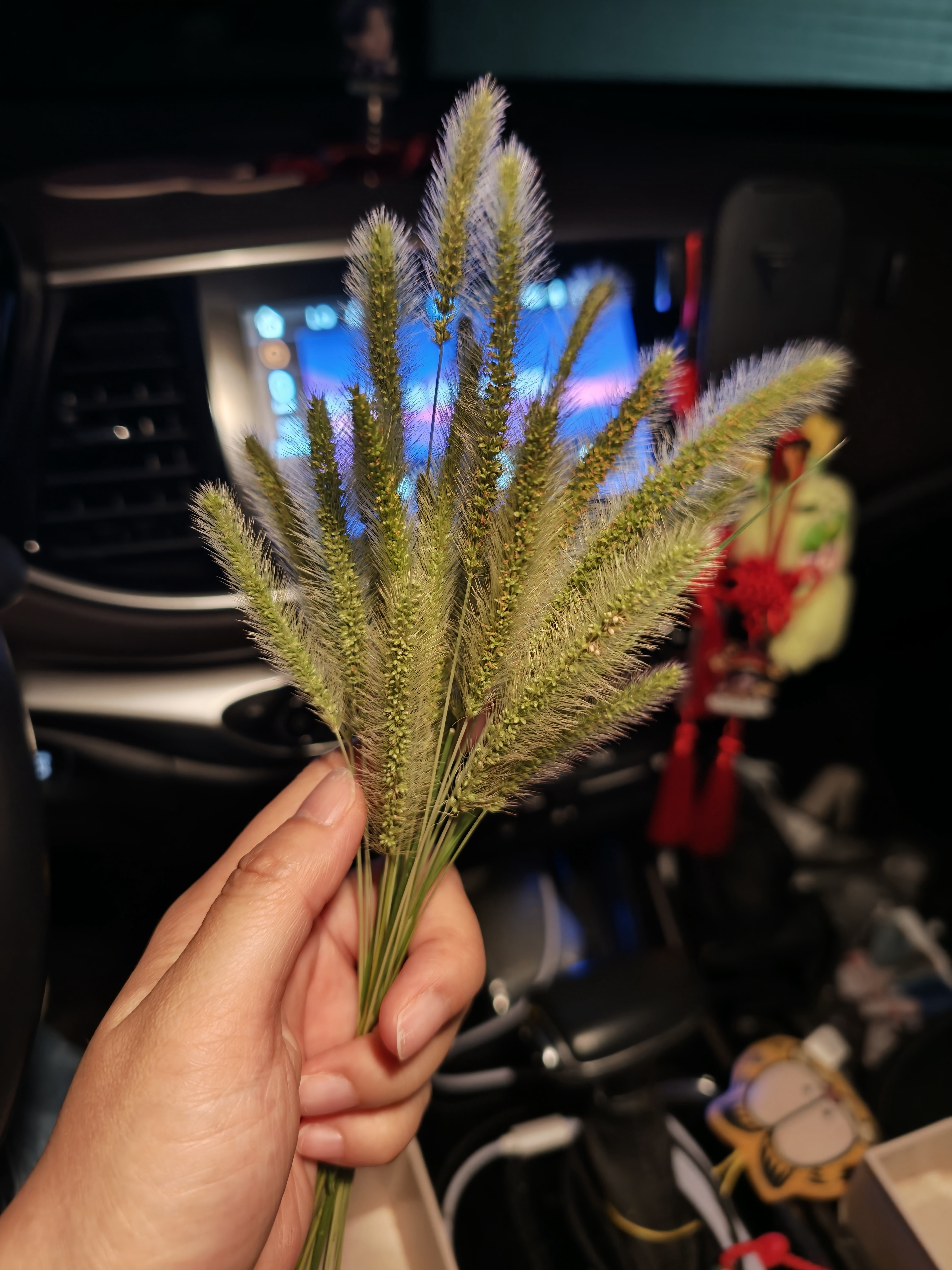 生活手记希望有人懂你的奇奇怪怪 