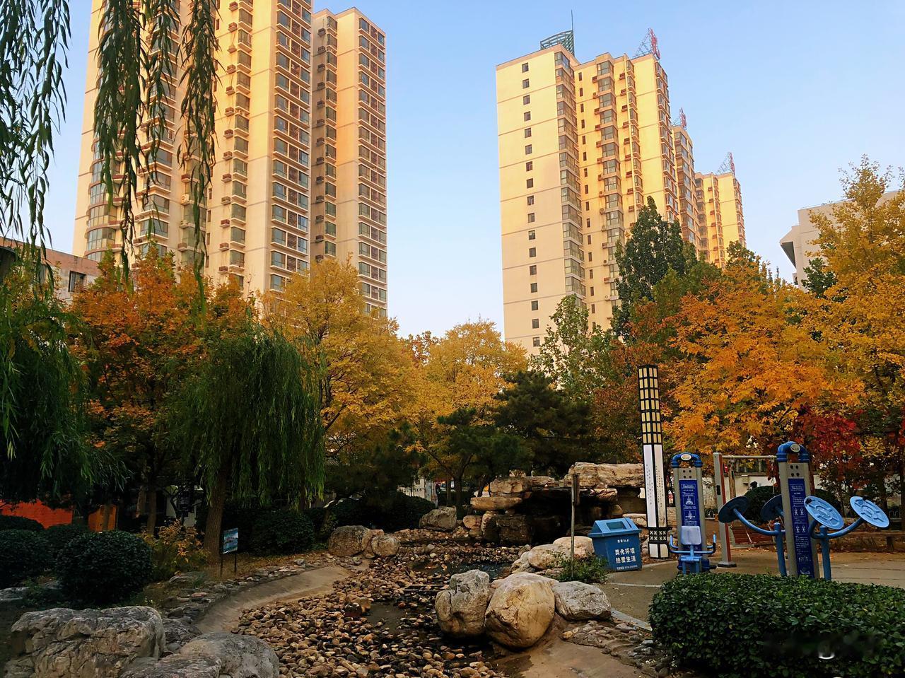 北京的深秋已经有了冬天的寒意，给人的感觉秋日太过短暂，一下子直接入冬了，尤其是到