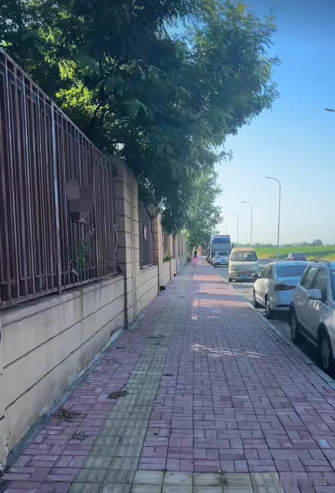 早起陪大闺女跑800米，练体能。
我跟在她后面慢跑，不一会儿她的身影就消失在我的