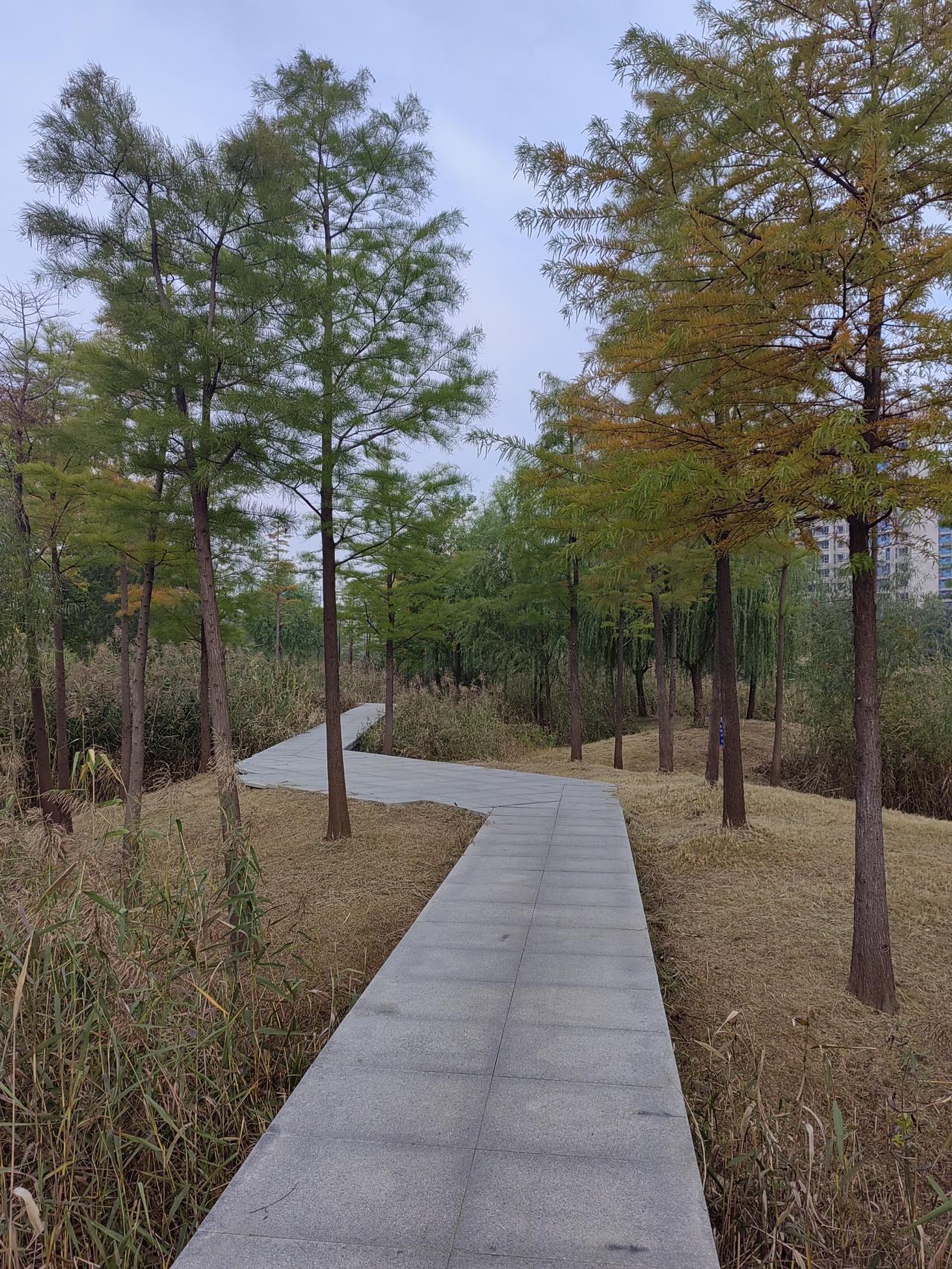 弯弯曲曲的羊肠小道，
就像仙女的彩带飘落在大地，
更是散步休闲的好地方。