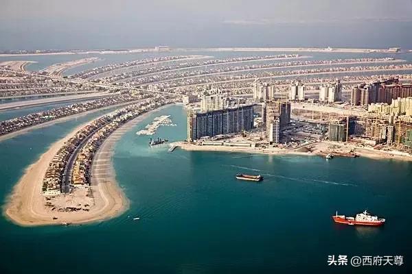海湾国家摊上美国这个盟友，还真是郁闷！明明都已经停火了，美国非要犯贱，时不时就把