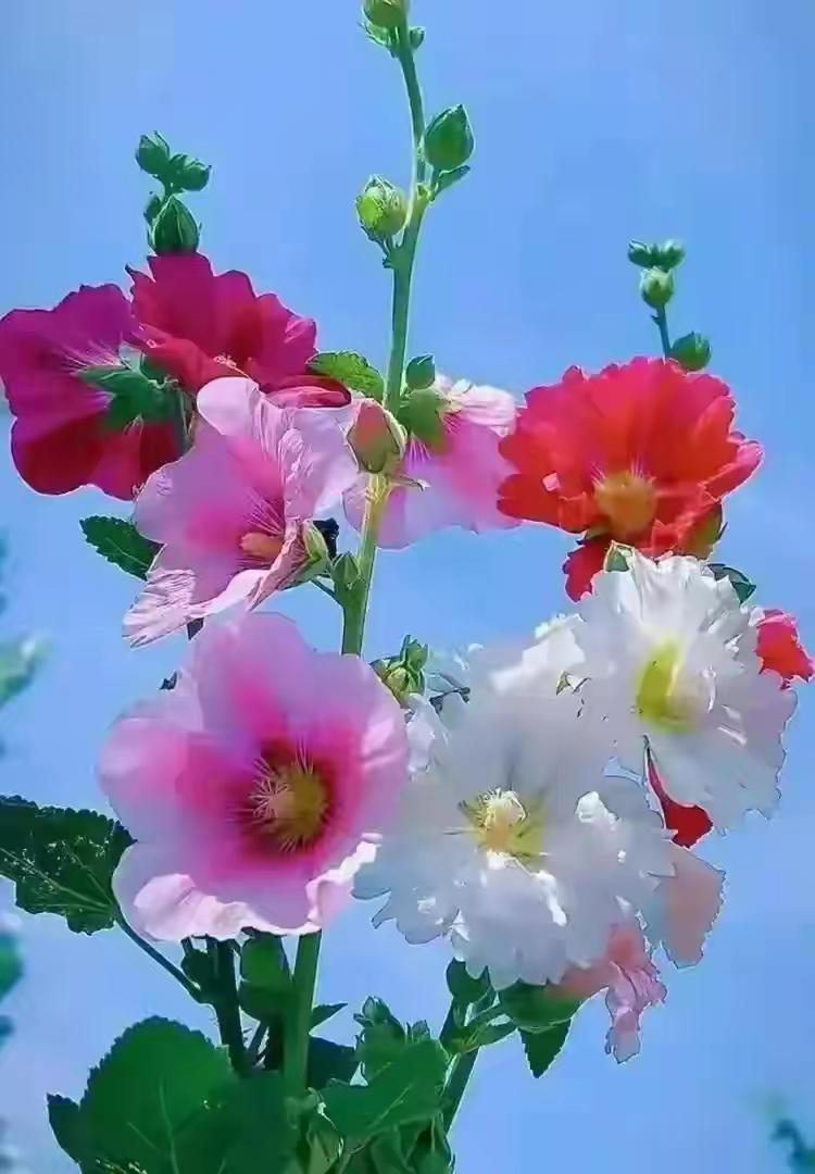 


中医养生看体质，专属养生方案精准推送给您！