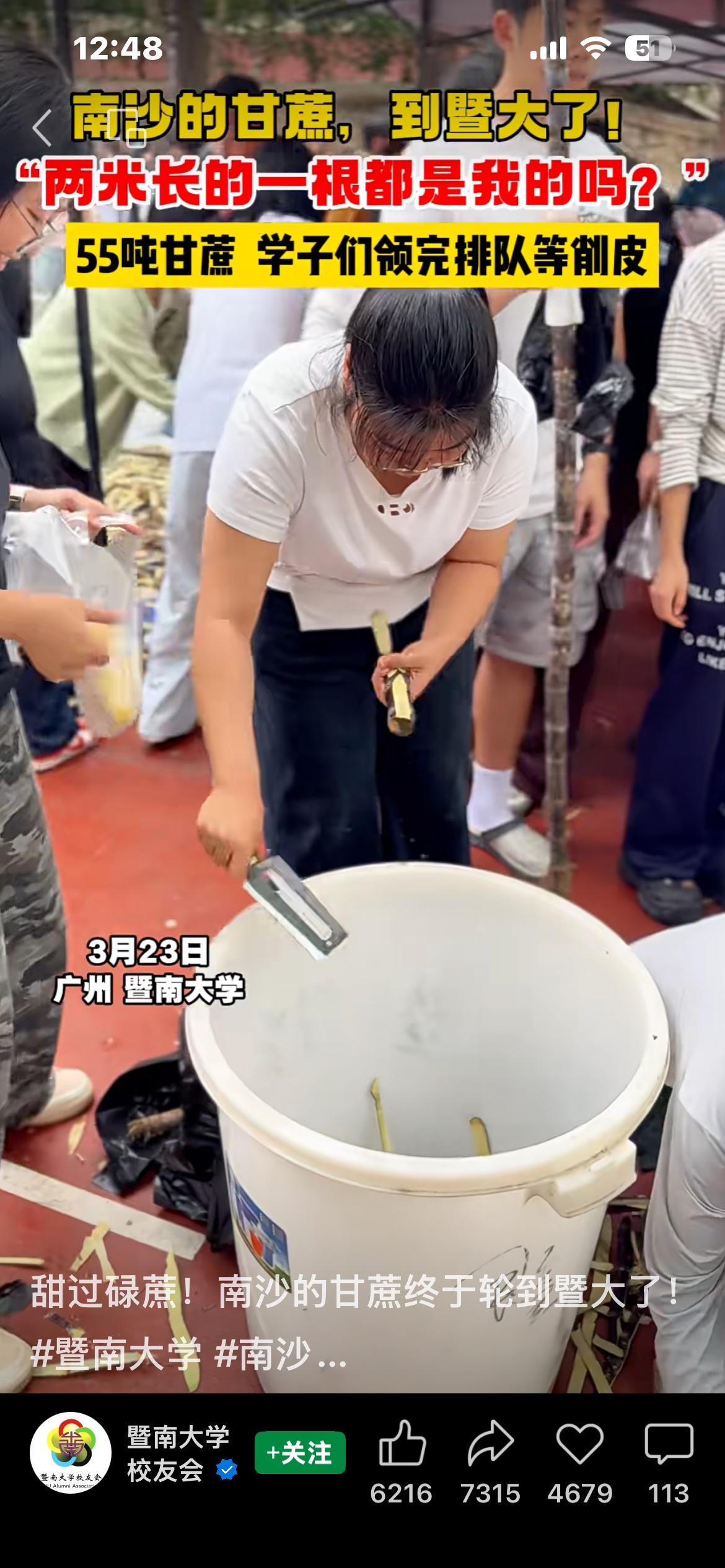 广东甘蔗迎来丰收，产量巨大却遭遇滞销困境。于是，打着助农、好意头、接地气的旗号，