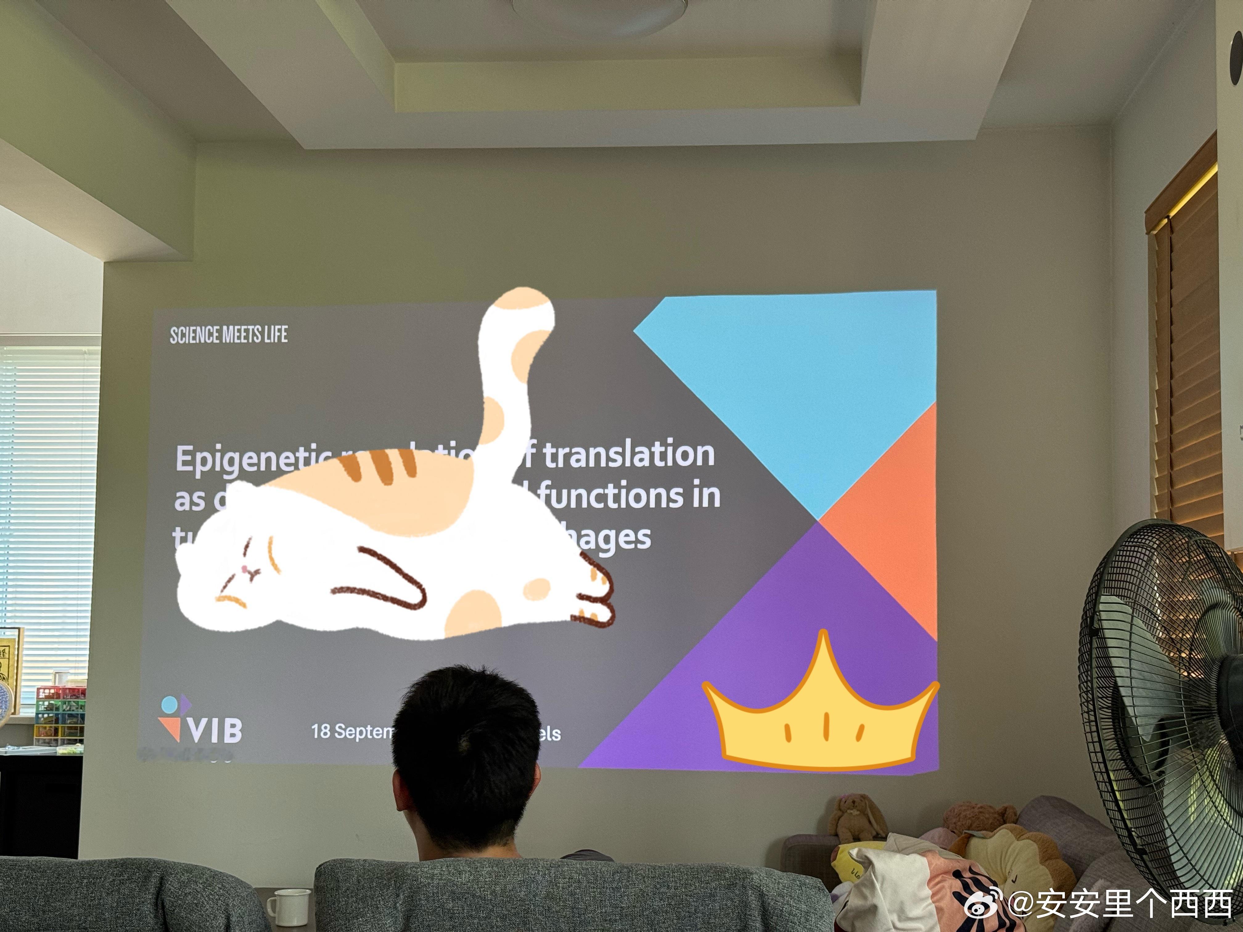 给博士生做指导四舍五入是不是等于当了回博导？[doge]实际上标题单词都看不懂，