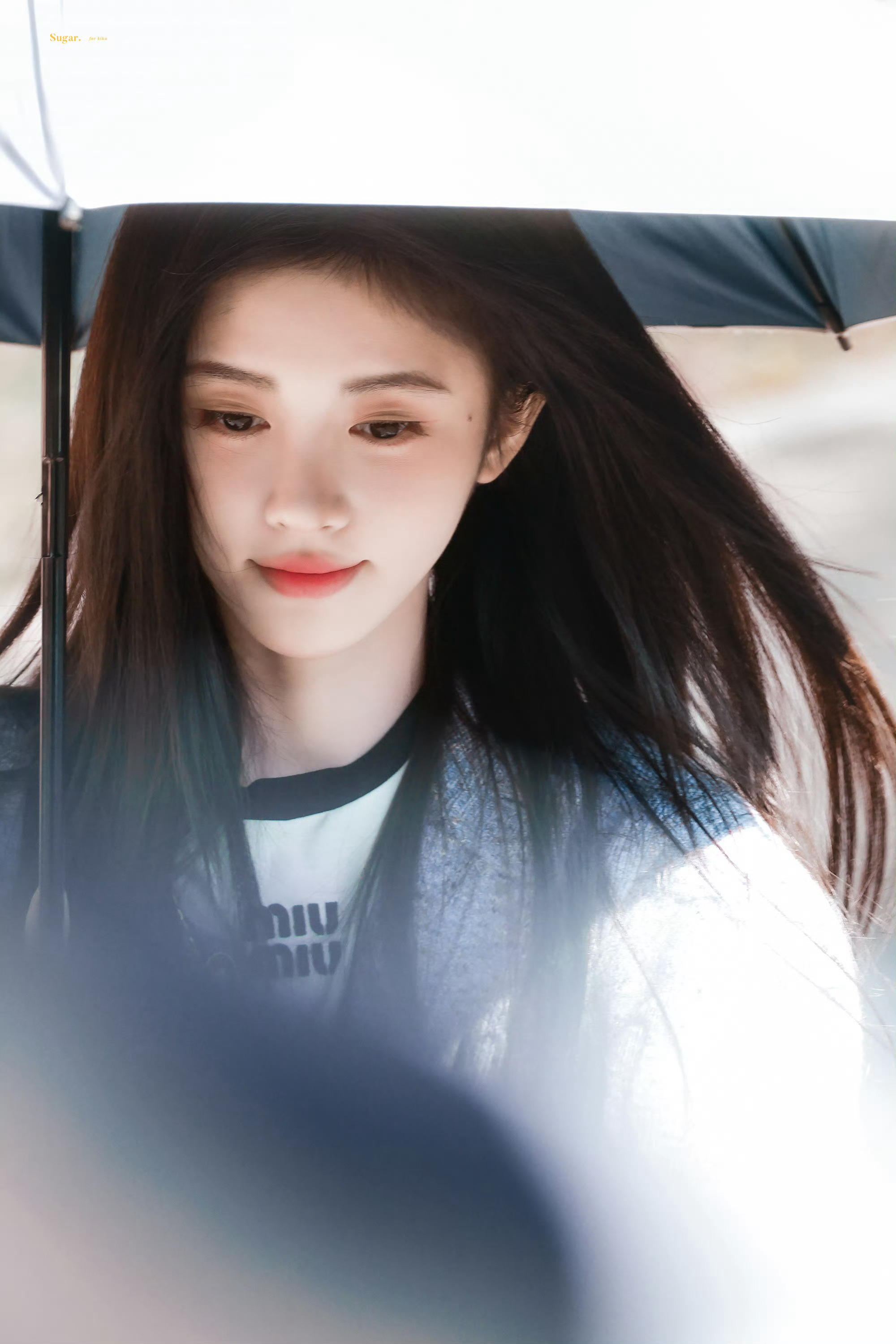 鞠婧祎姜黎非 jjy鞠婧祎千香 "你是我在极寒中仍留有余温的玫瑰。" 𝓨𝓸?