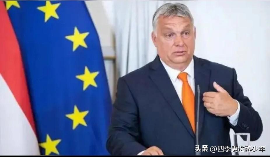 欧尔班提议将俄罗斯纳入欧洲安全、能源与贸易体系，与西方对俄孤立路线彻底对立。匈牙