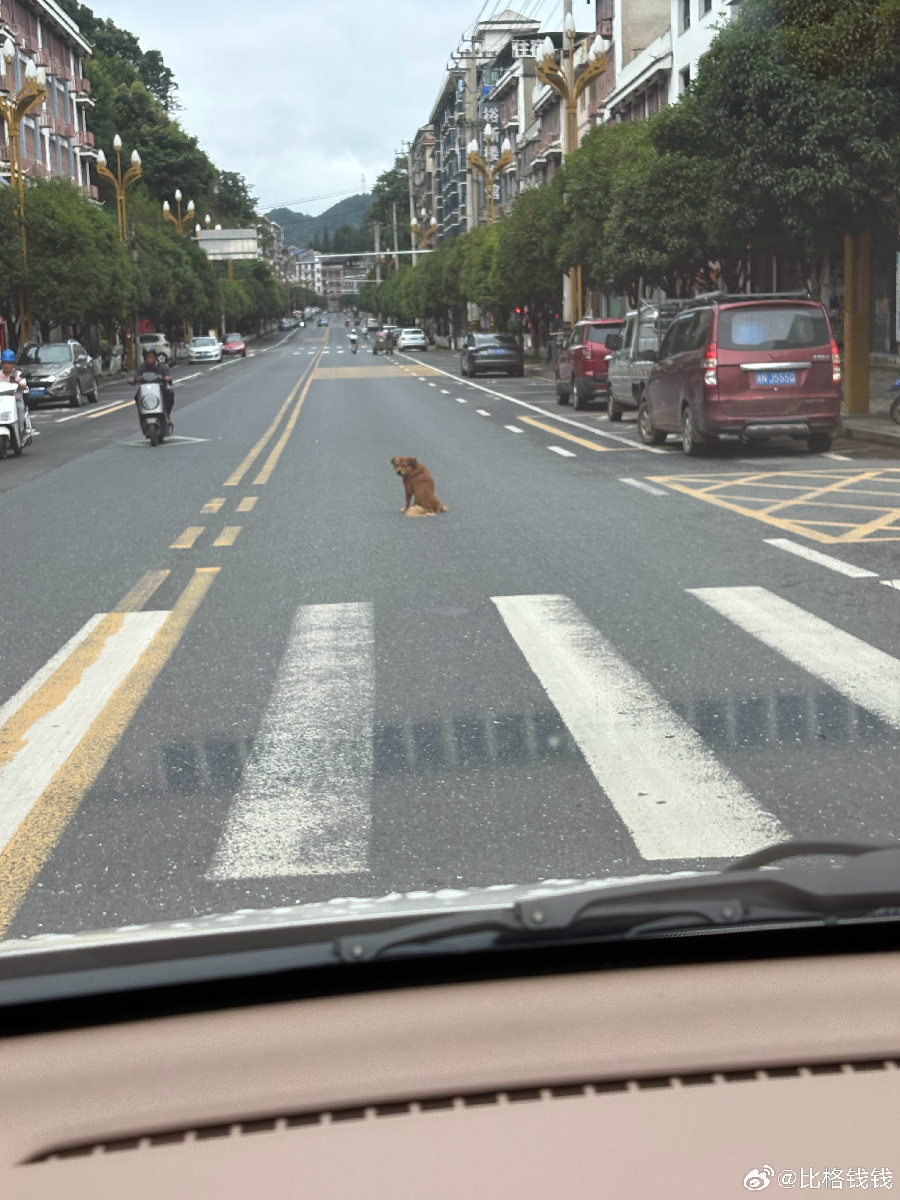 大哥 你很拽啊 