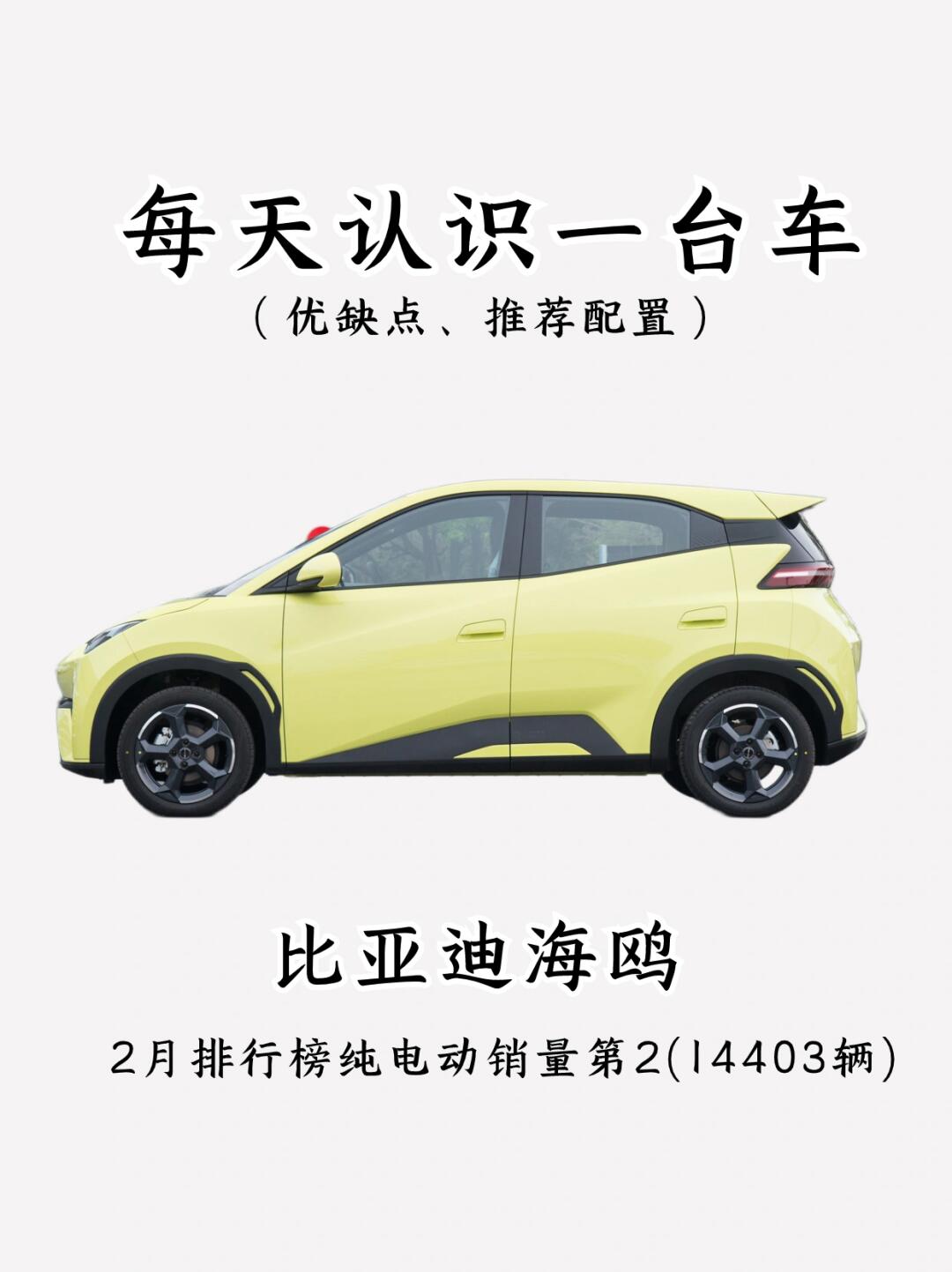 看完优缺点，你还会买比亚迪海鸥吗⁉️