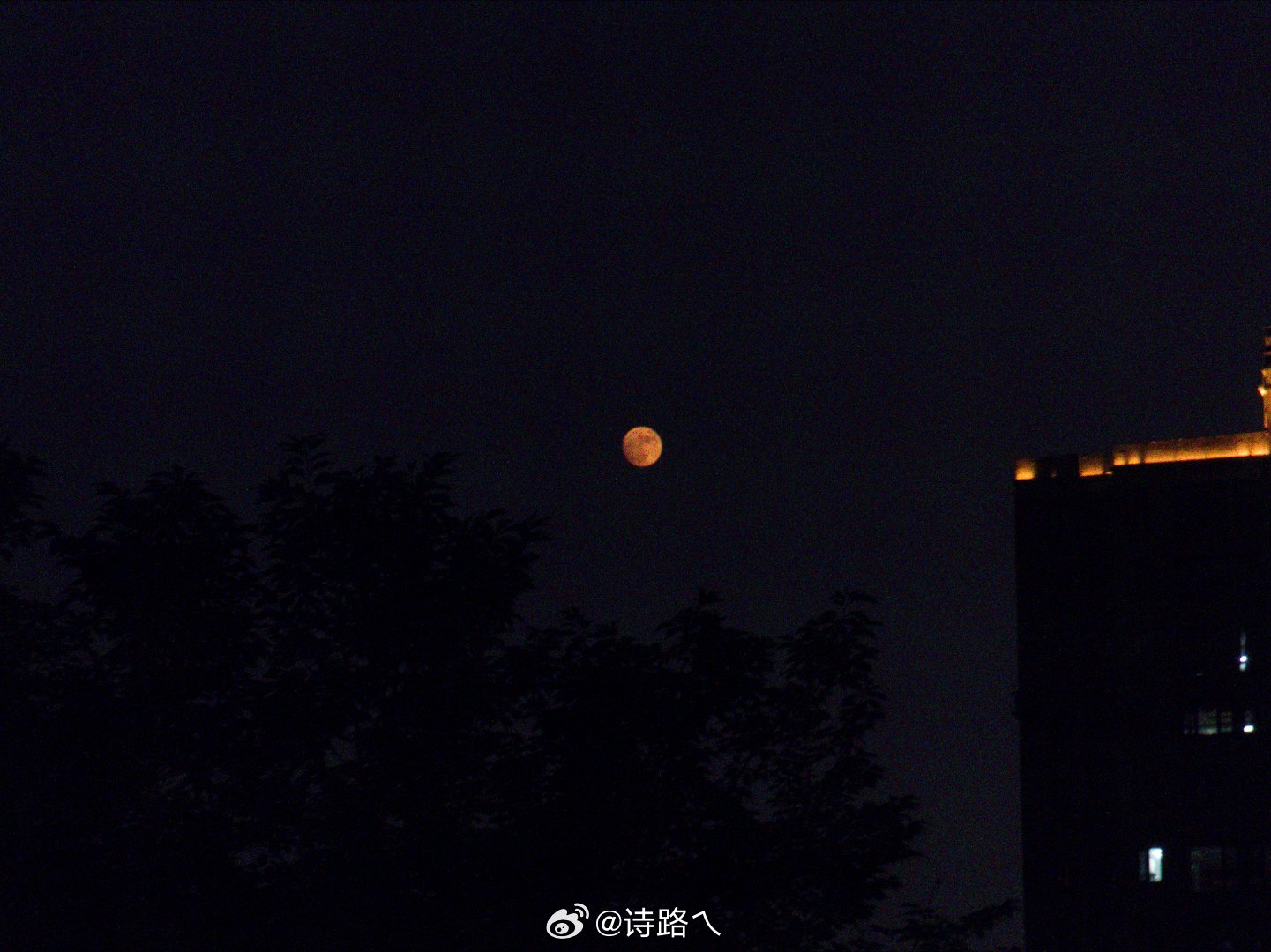 今天阴天，月亮也有点害羞了 