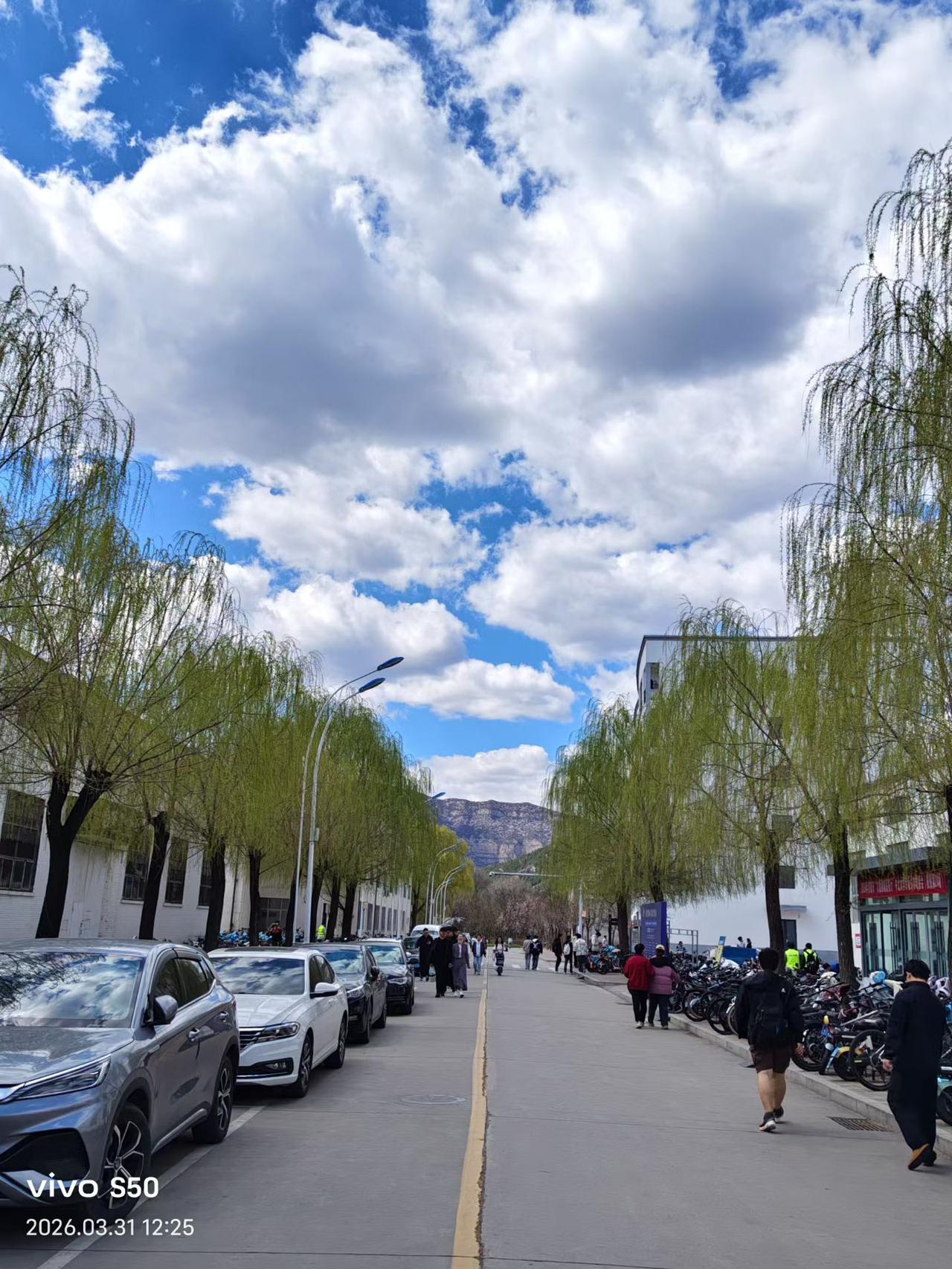 有没有好看的风景图片分享