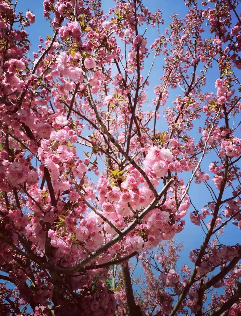 现在人情确实淡薄了，无论是亲人，还是朋友同事。都不像以前那么热情了，好像各有各的