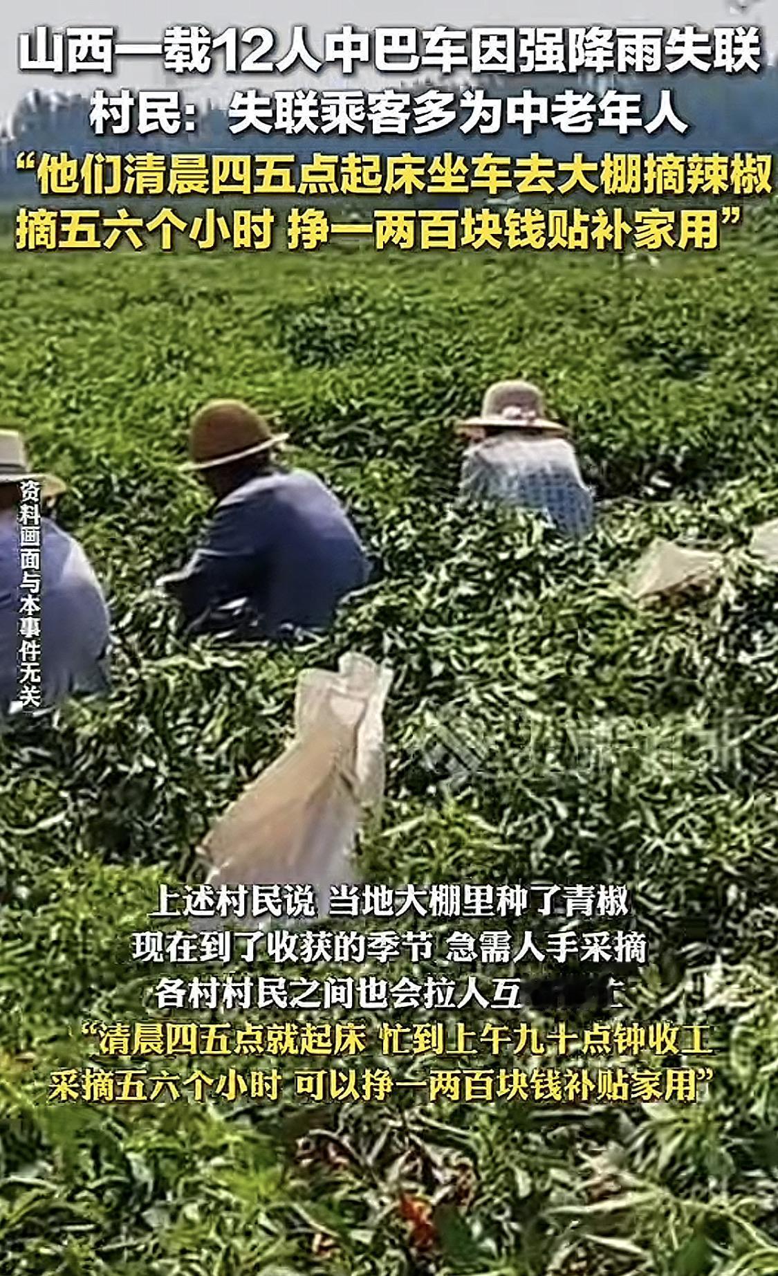都说早起的鸟儿有虫吃。
可山西那12个人，却因为早起去大棚里摘辣椒，被洪水冲跑了