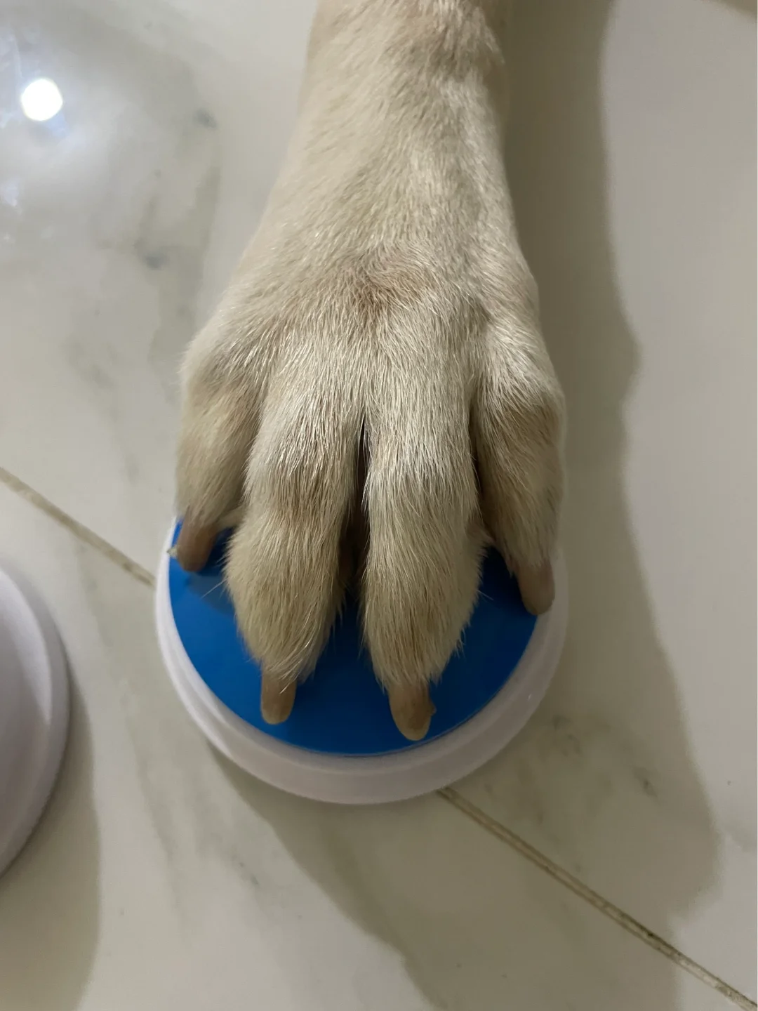 孩子可以当手模吗？