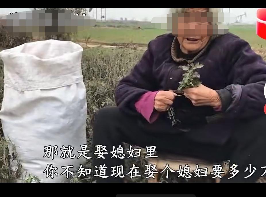 重男轻女的农村老太太，年轻的时候很早就结婚了，只想生儿子，果然生了三个儿子，在村