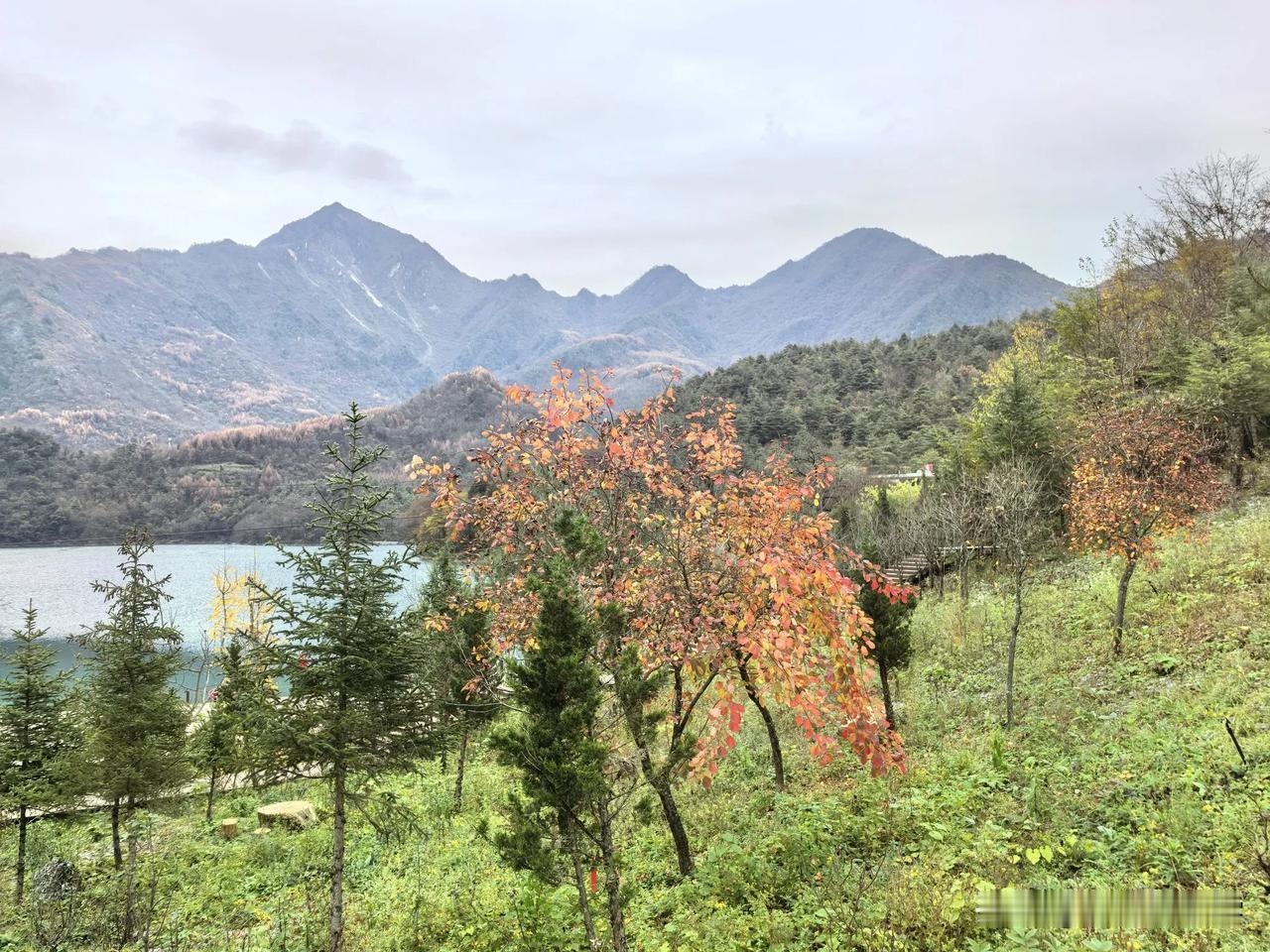 分享几张最美的风景