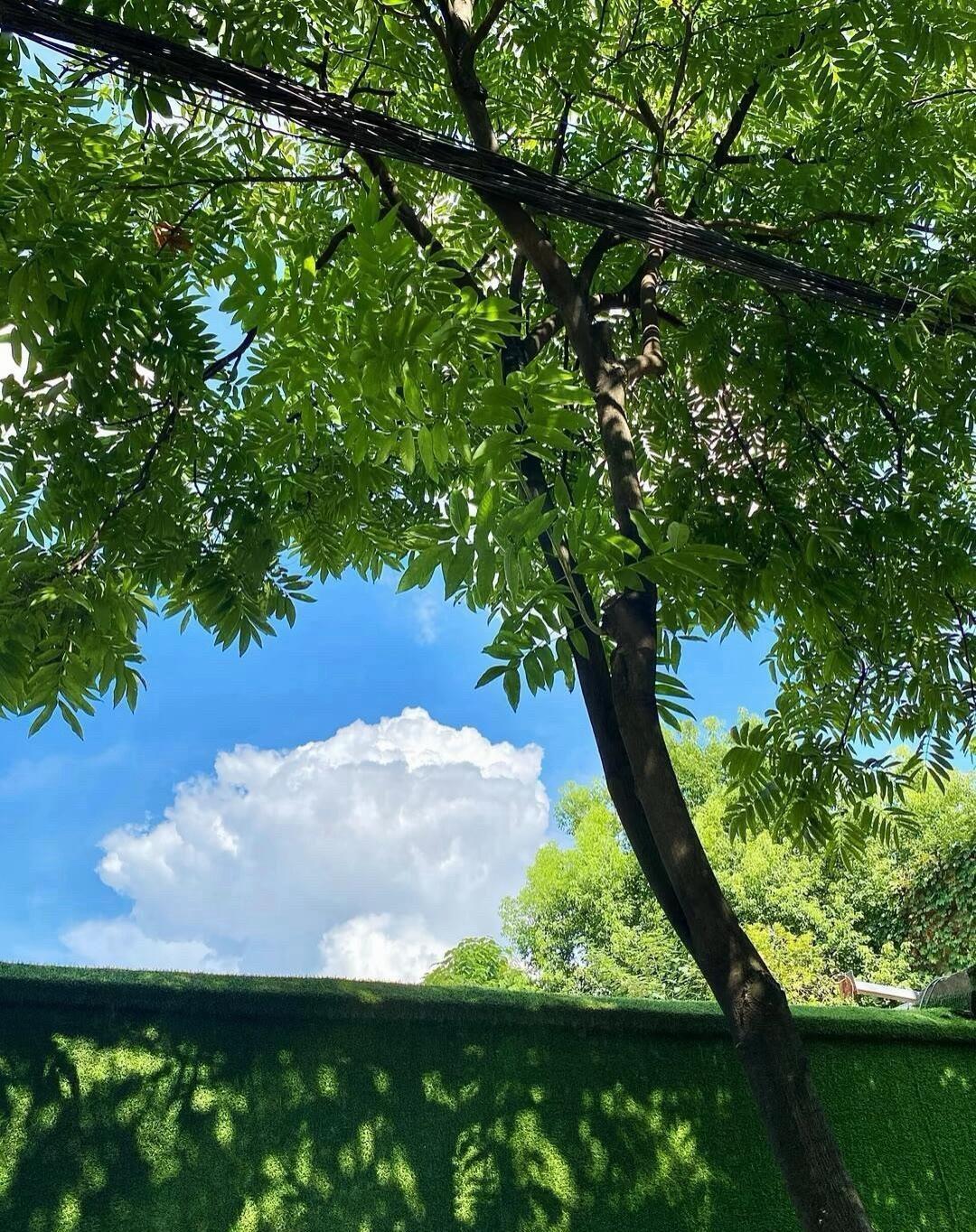 下半年没了，下面没了。别瞎扯淡，好几个赚了说不想干工作了，你专心炒股用不了多久就
