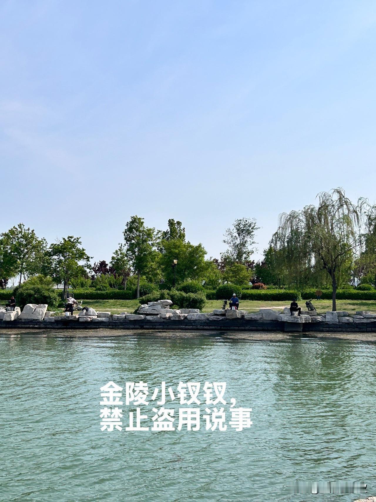 葛老头终于交出了满意的答卷！

自从有了孙女，葛老头的镜头就再也没有对准我。我在