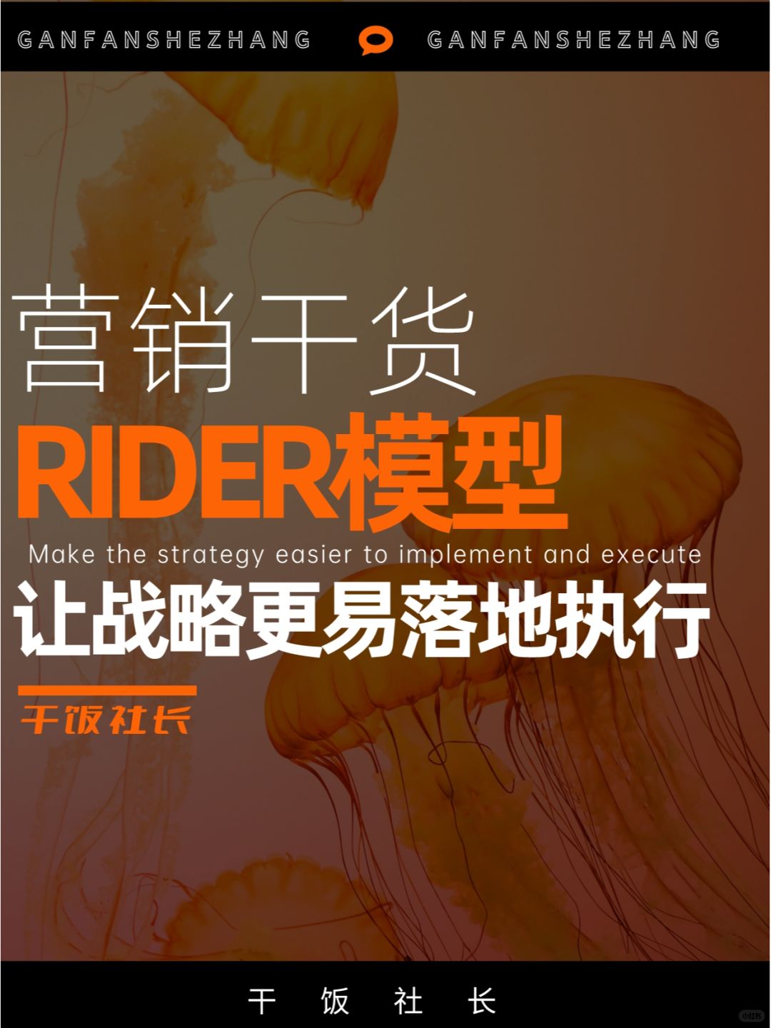 一图弄懂让战略更易落地的RIDER模型